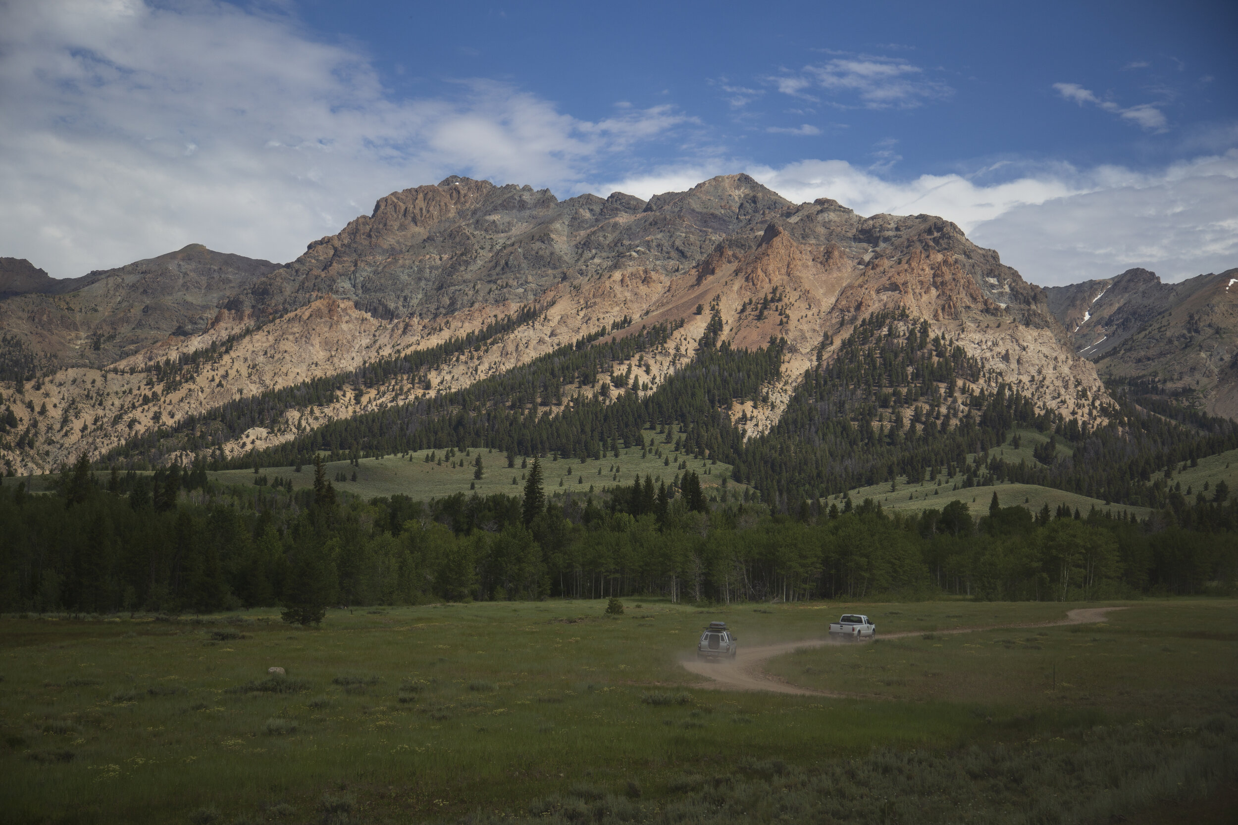 NFF_Aspen_Field_Day-Landscape-03-C2-L.jpg