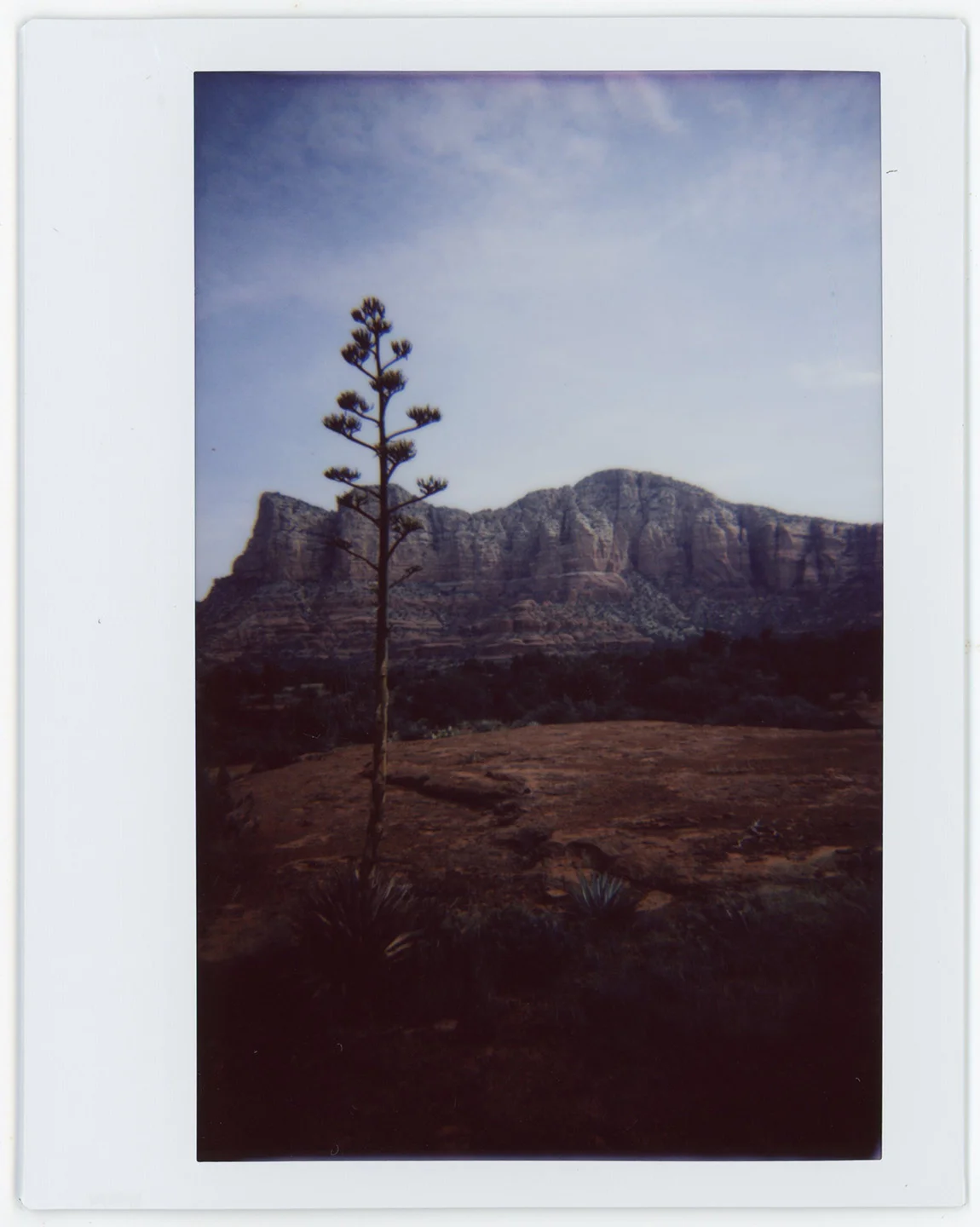 NV090817_03web.jpg