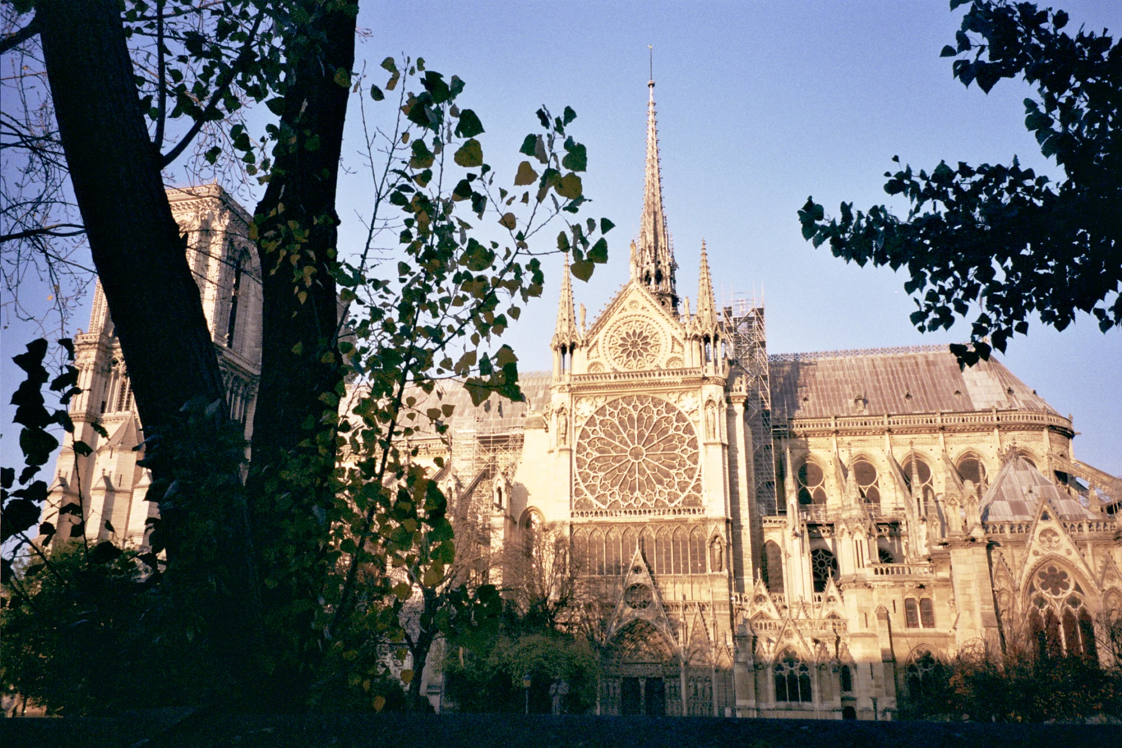0899-__4_0333_WEB.jpg