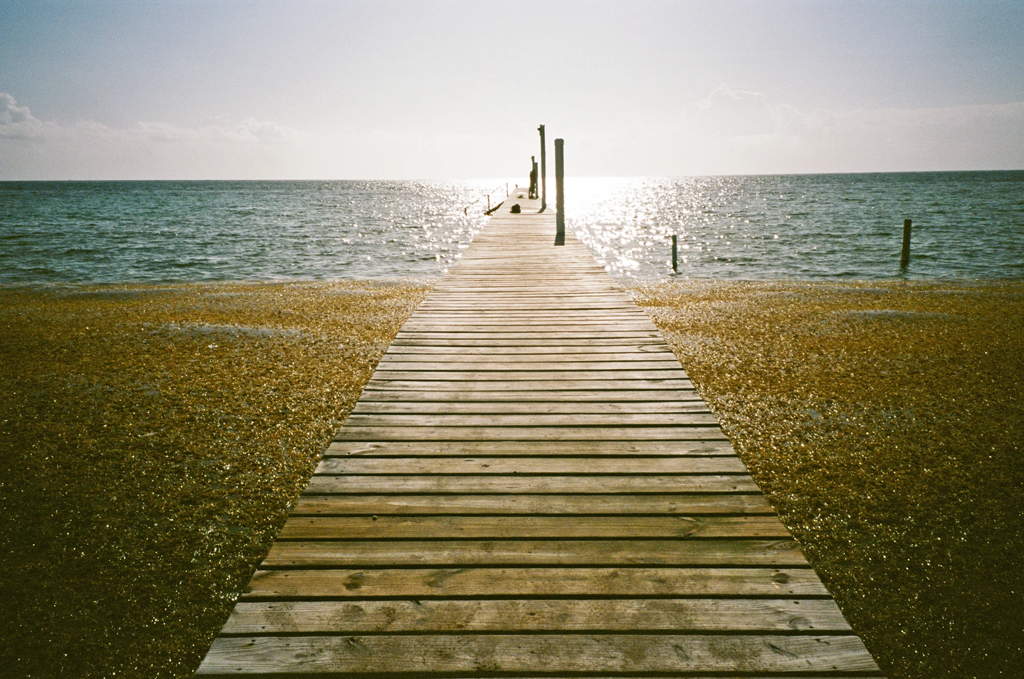 NV_CONTAX_2019_R4_13_13web2.jpg