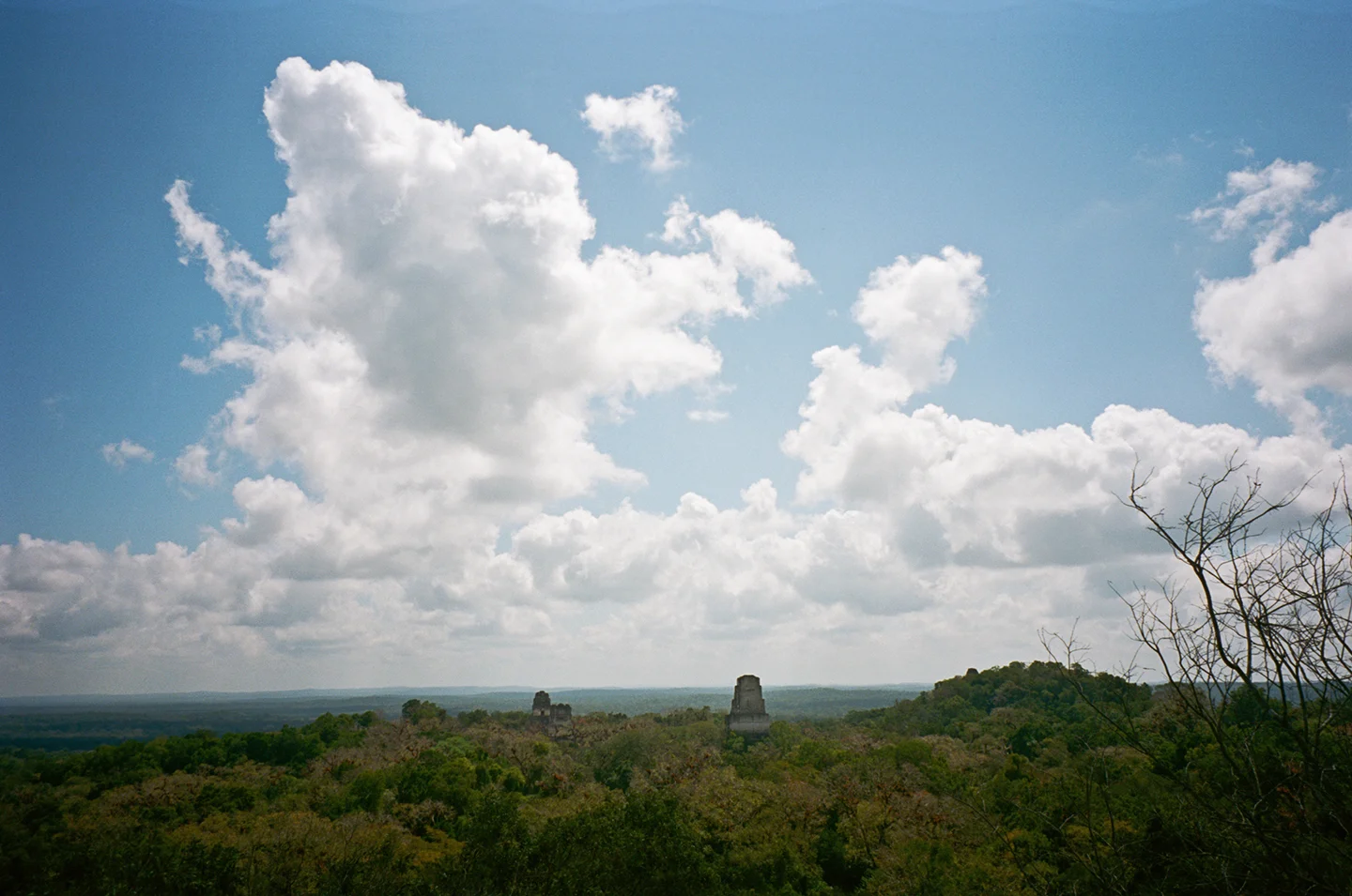 NV_CONTAX_2019_R5_01_22web2.jpg