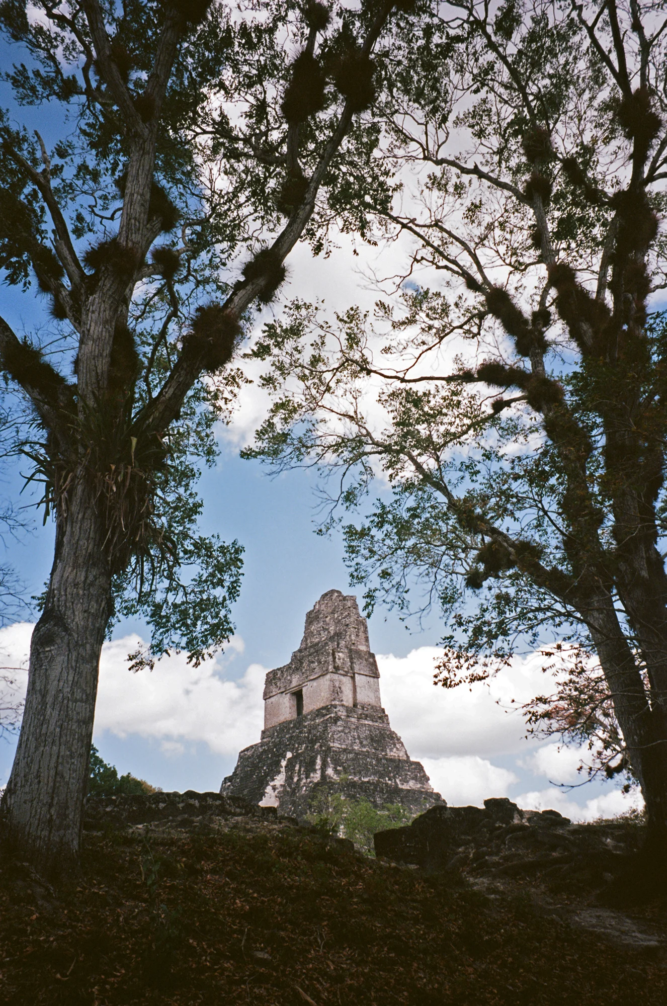NV_CONTAX_2019_R6_14_14Aweb12.jpg