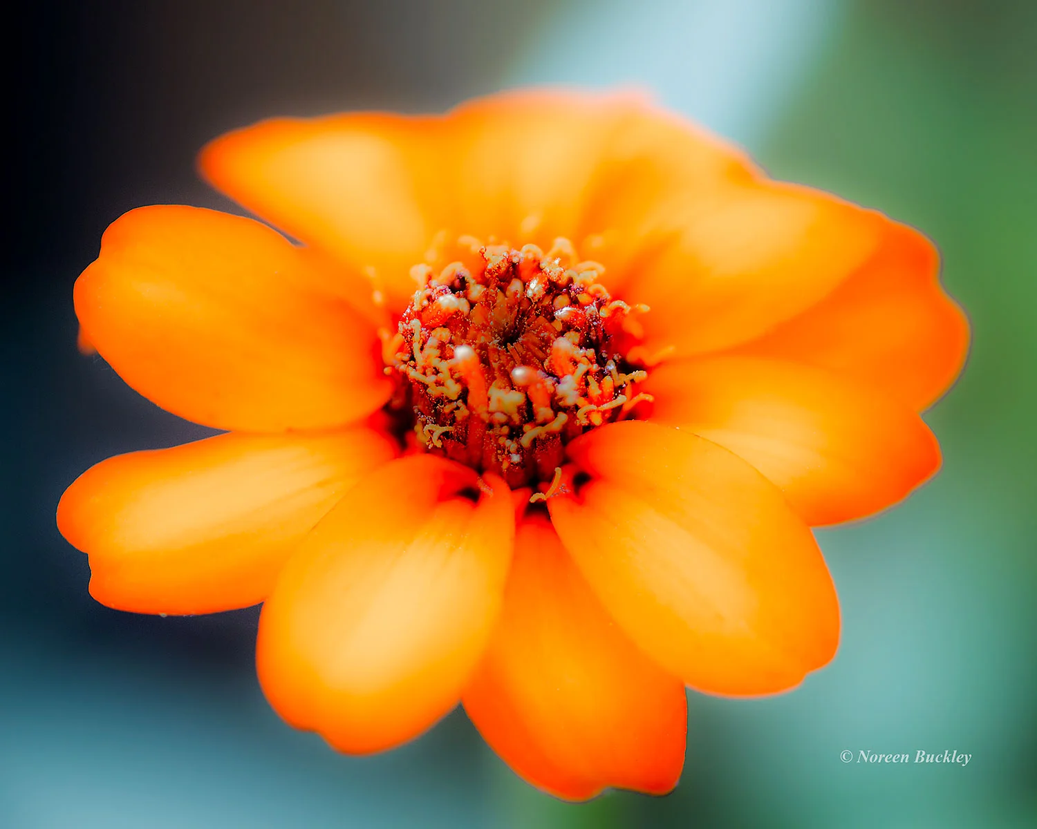 Glowing-Orange-Flat-V2_L2C0209.jpg