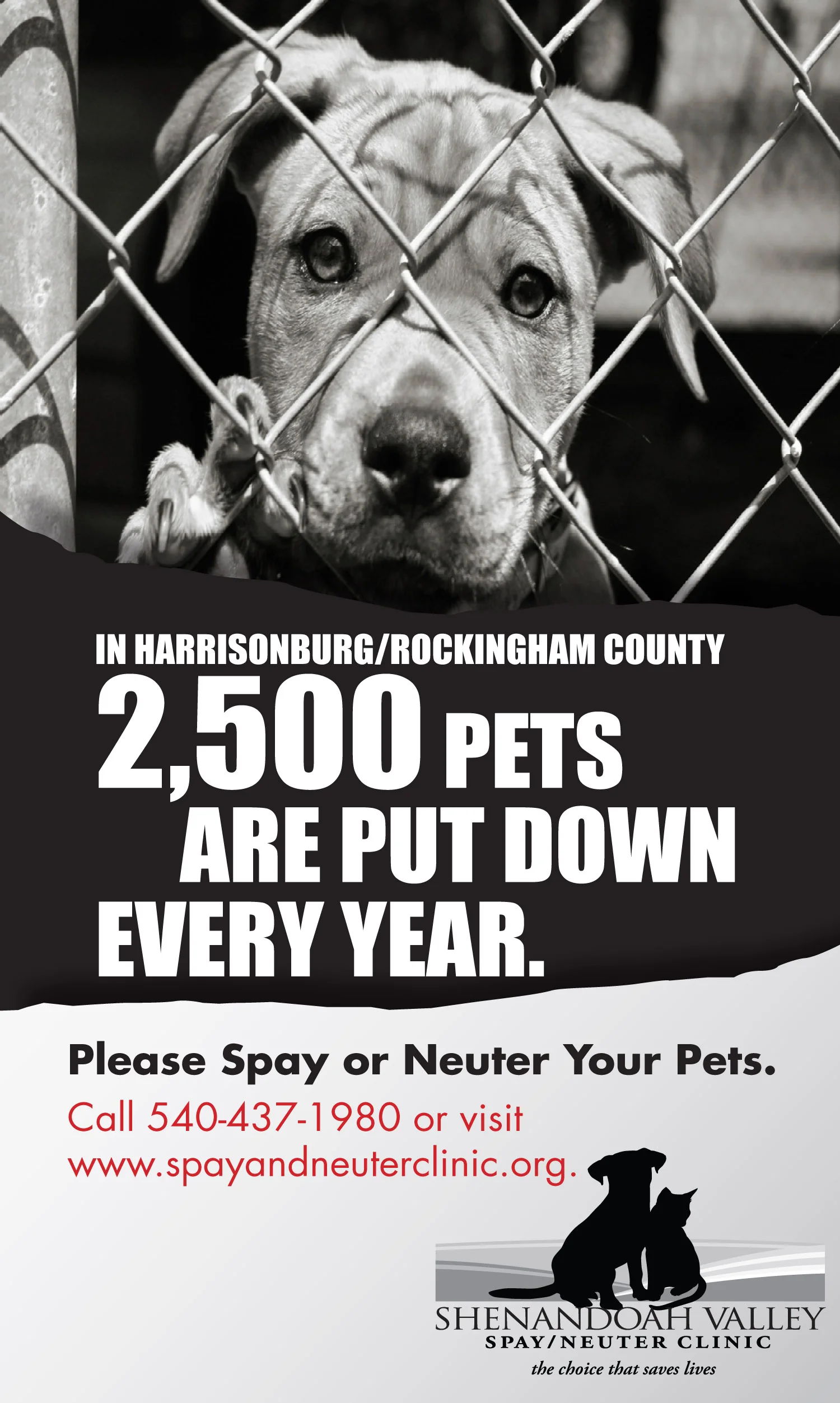 SpayAd.jpg
