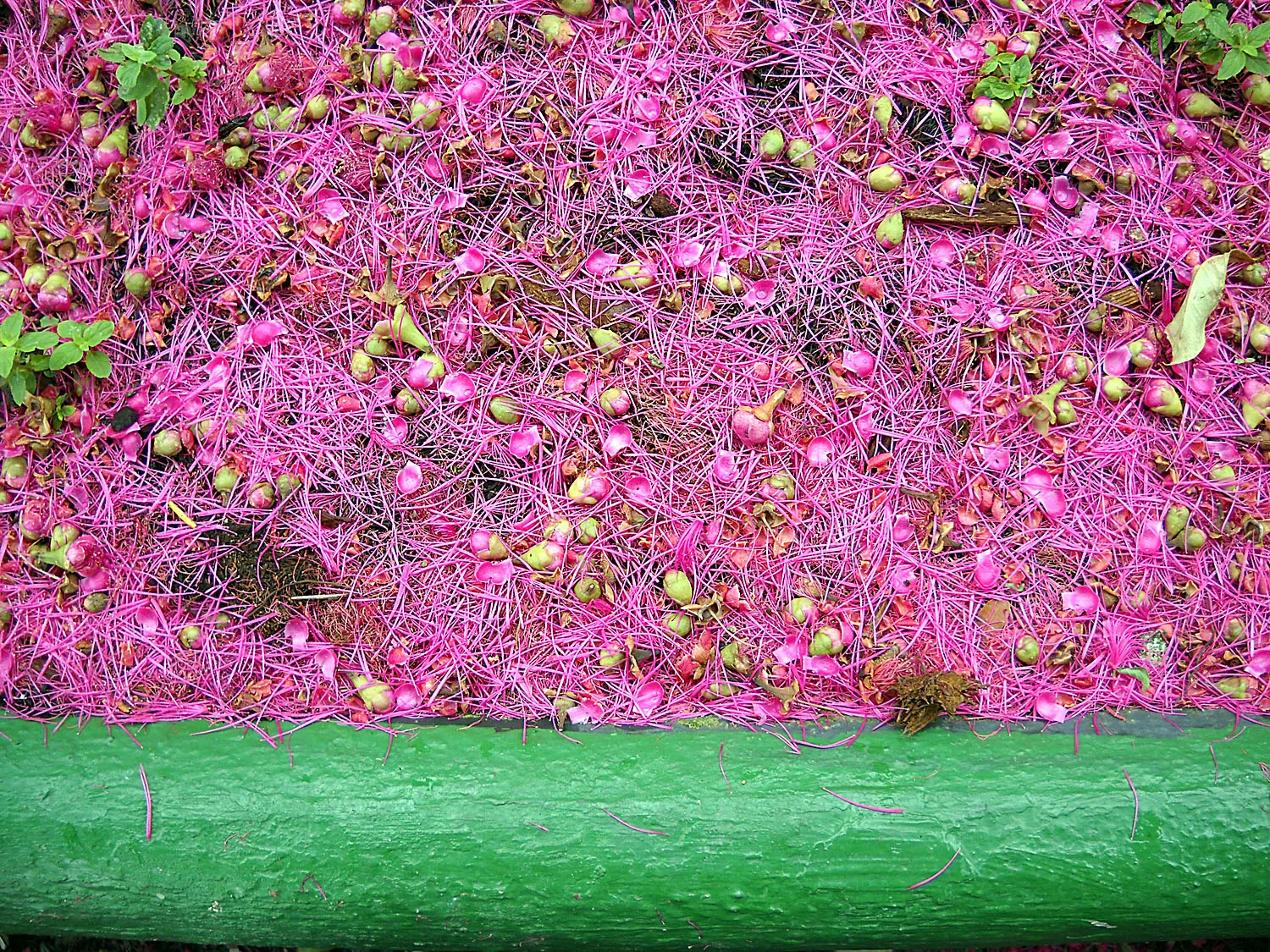 DSCN0174.jpg