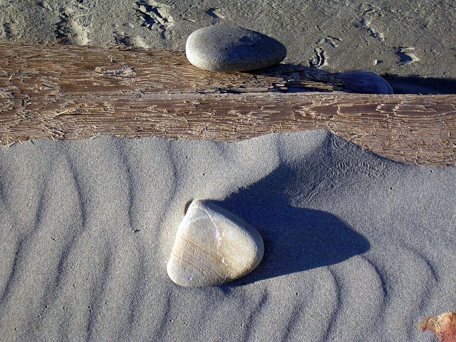 PICT0770.jpg