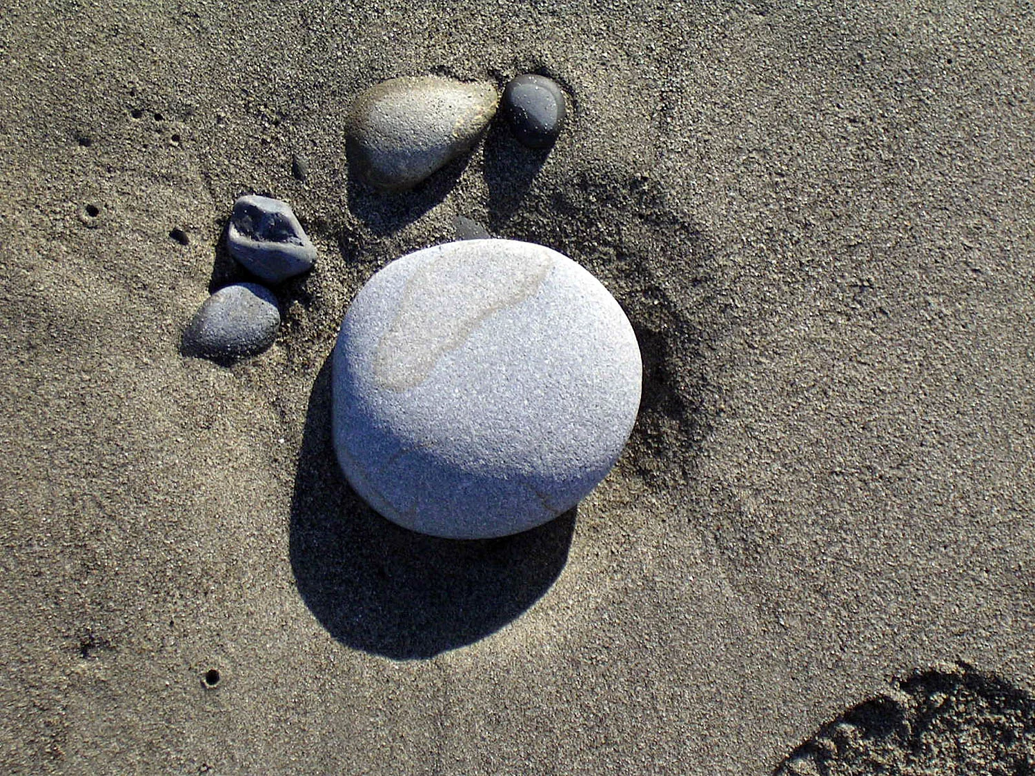 PICT0782.jpg