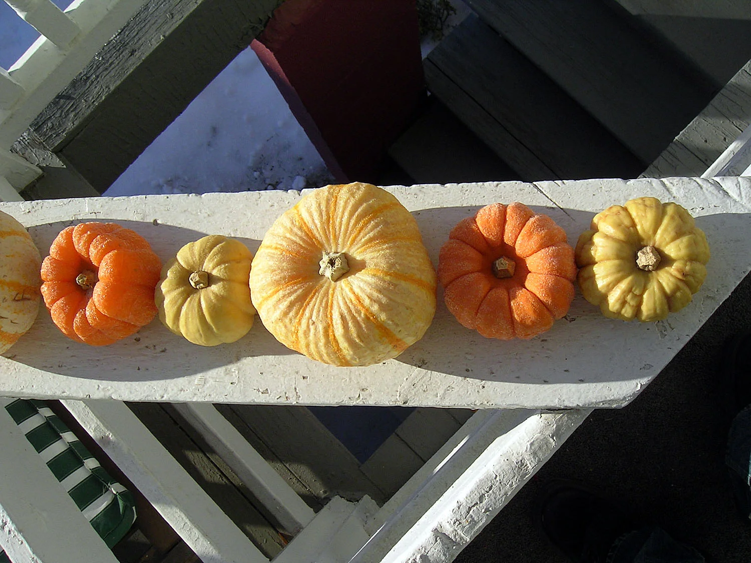 PICT2934.jpg