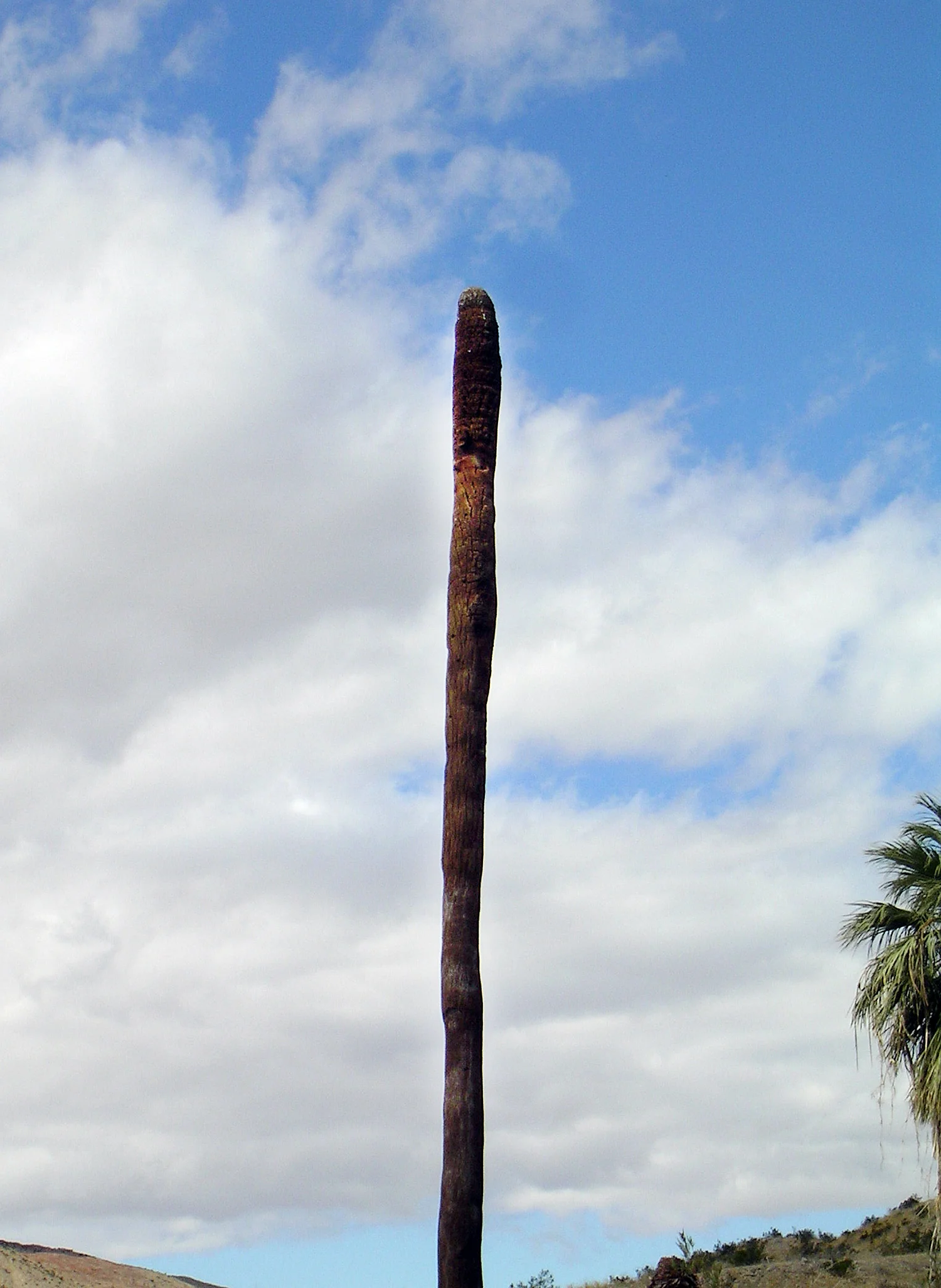 PICT3091.jpg