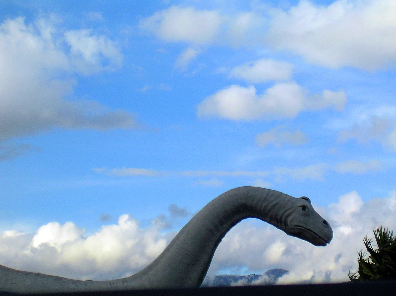 PICT3128.jpg