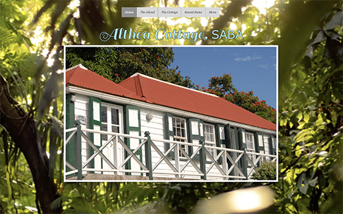 Screen Shot 2022-01-09 at 11.08.41 AM.png