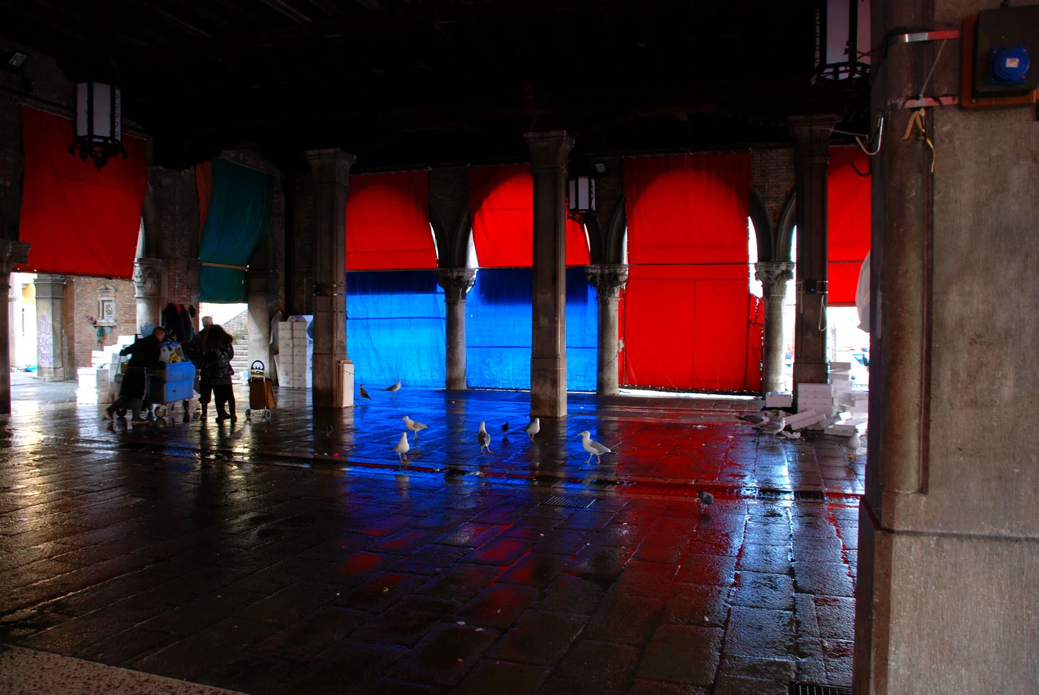 DSC_0171.jpg