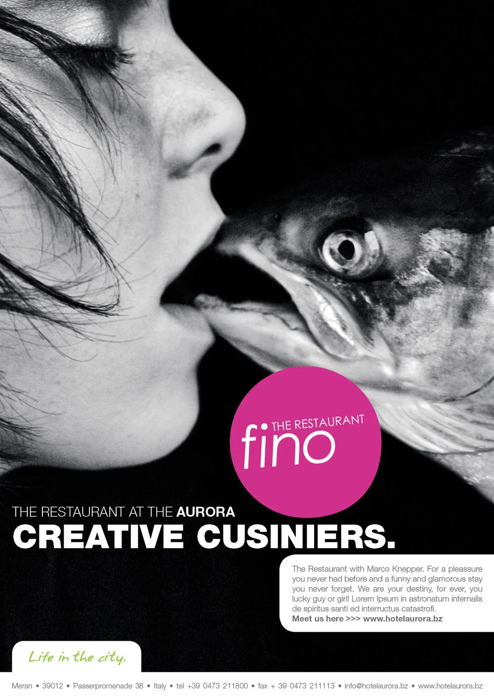 fino-17.jpg