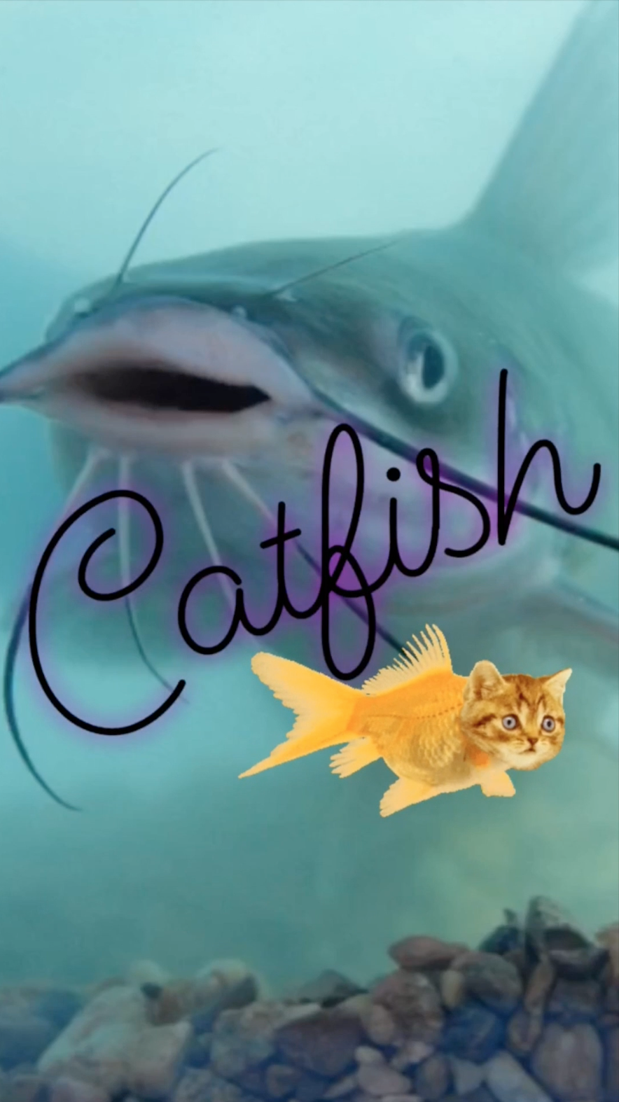 Catfish - TV Series || Ray Taylor Show