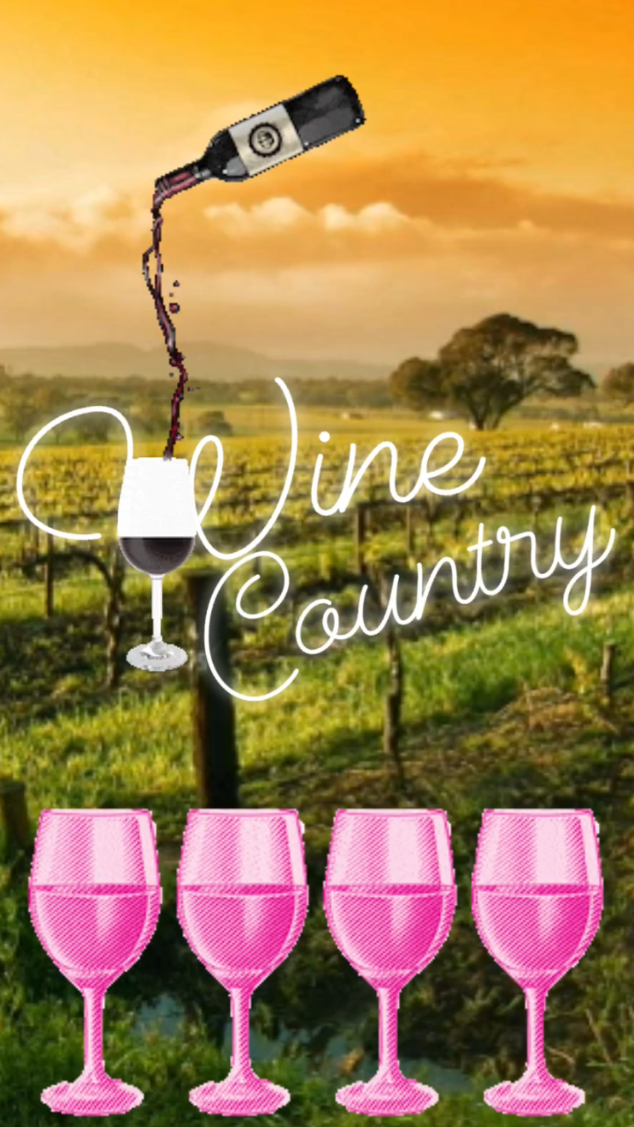 Wine Country || Ray Taylor Show