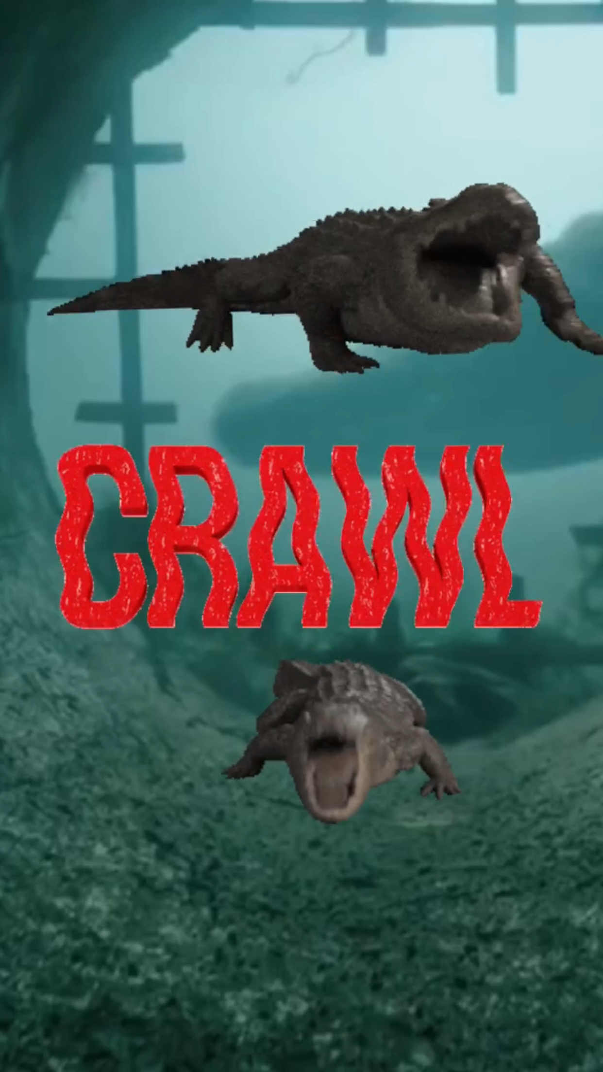 Crawl || Ray Taylor Show