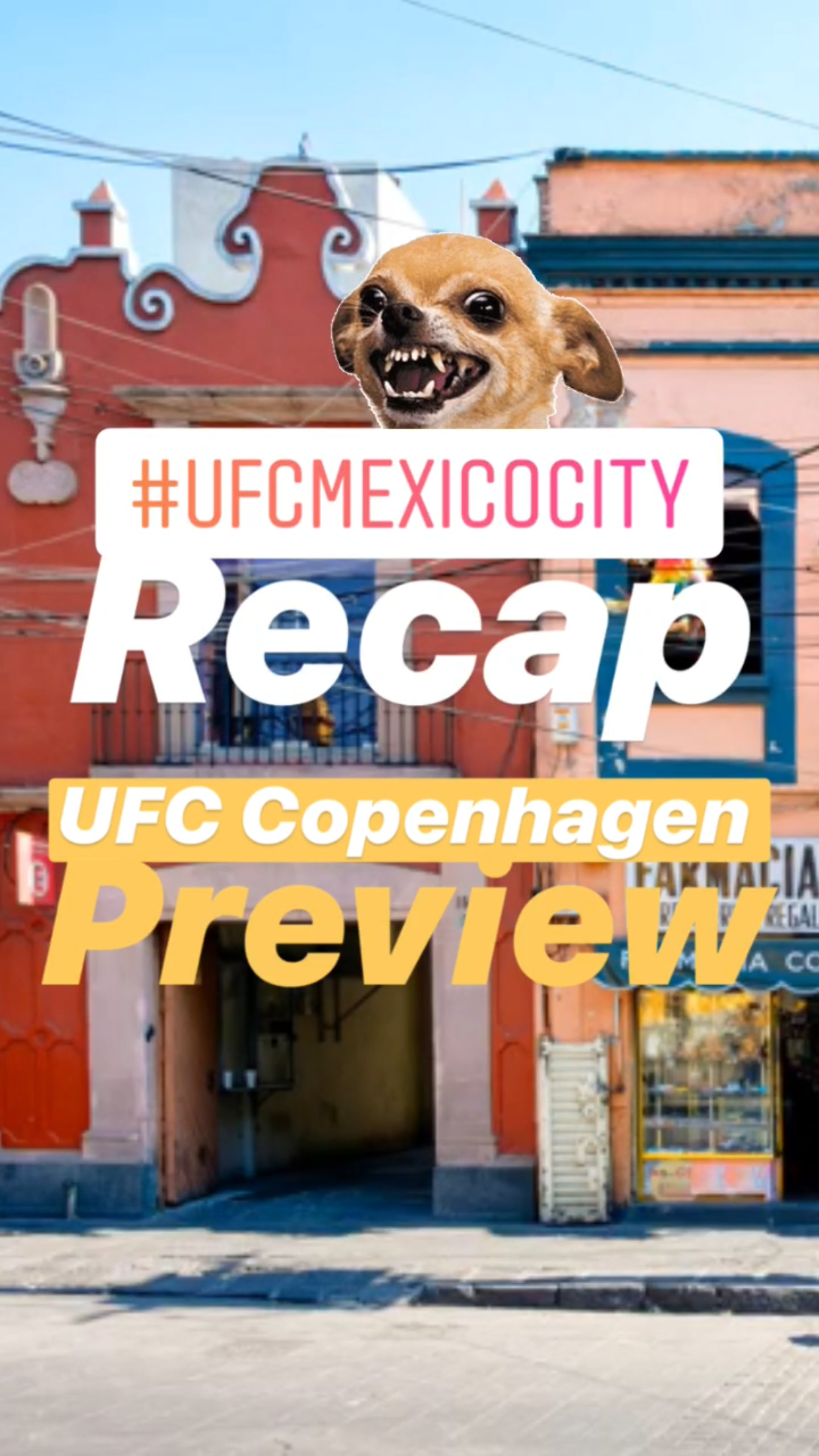 UFC Mexico City Recap - UFC Copenhagen Preview || Ray Taylor Show