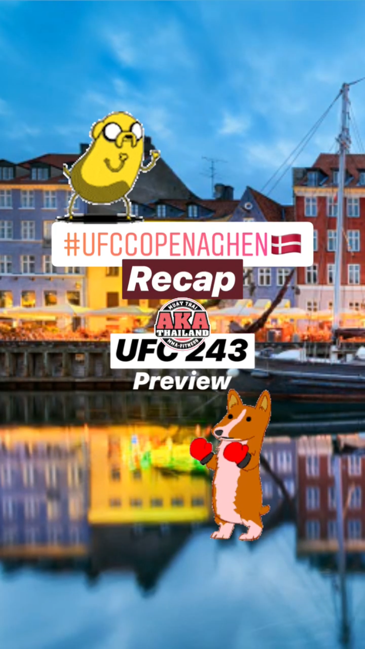 UFC Copenhagen Recap - UFC 243 Preview || Ray Taylor Show