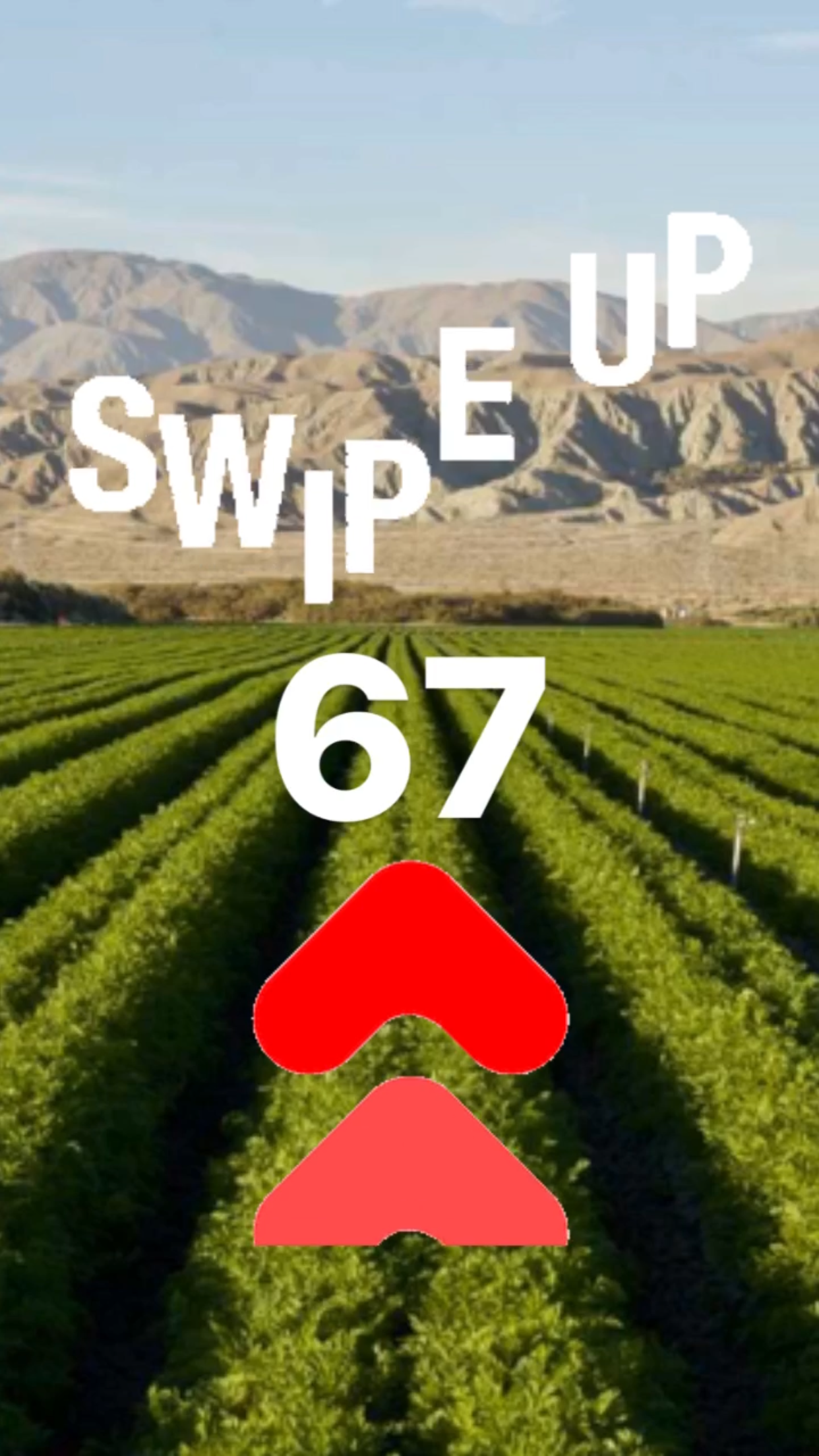 Swipe Up 67 || Ray Taylor Show