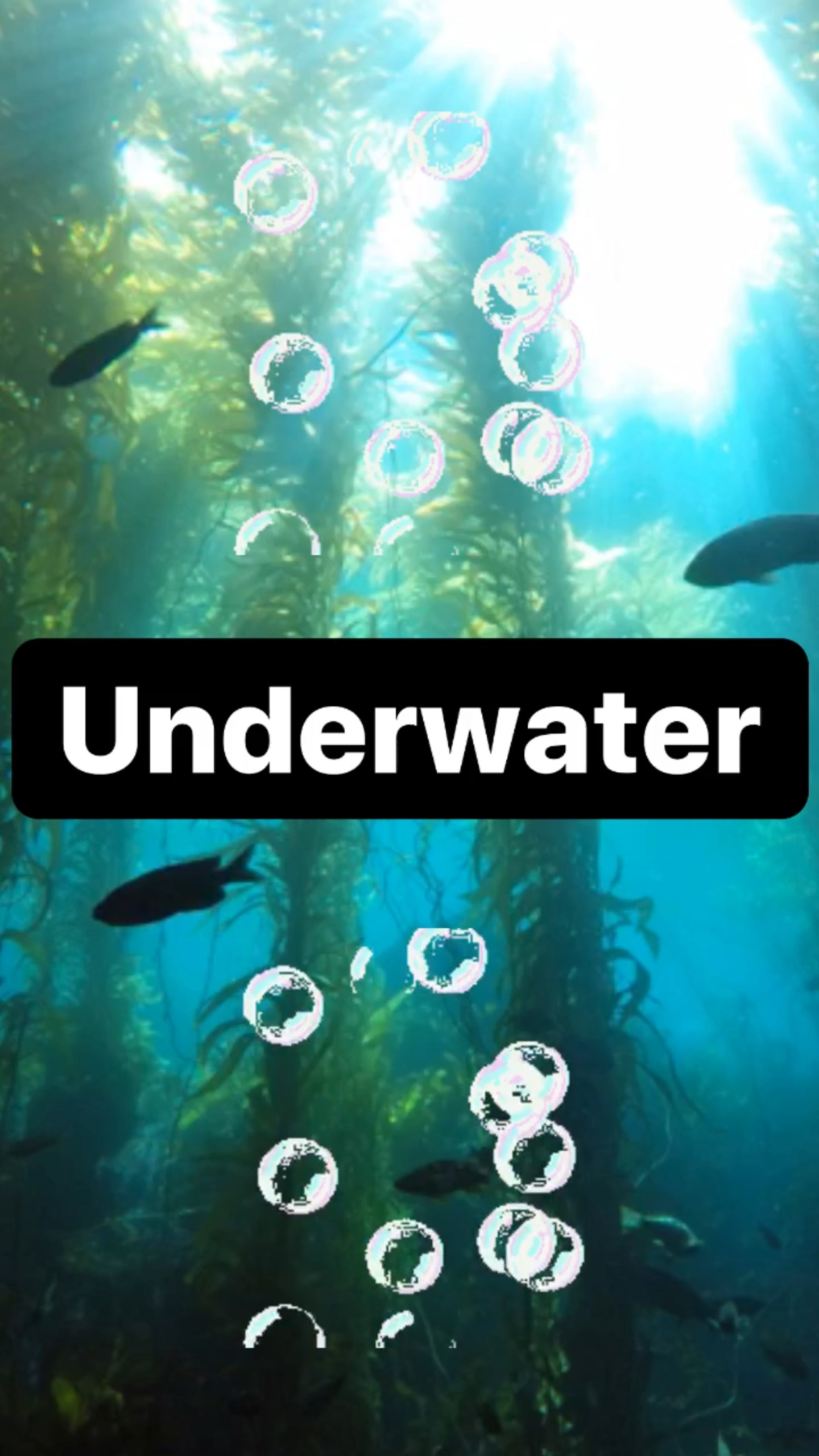 Underwater || Ray Taylor Show