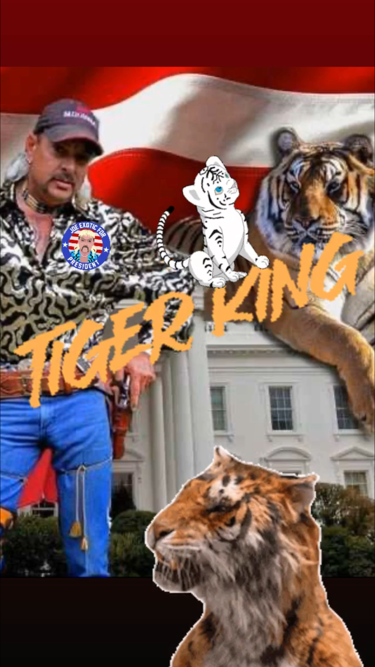 Tiger King || Ray Taylor Show