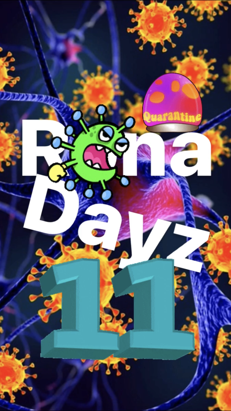 Rona Dayz 11 || Ray Taylor Show