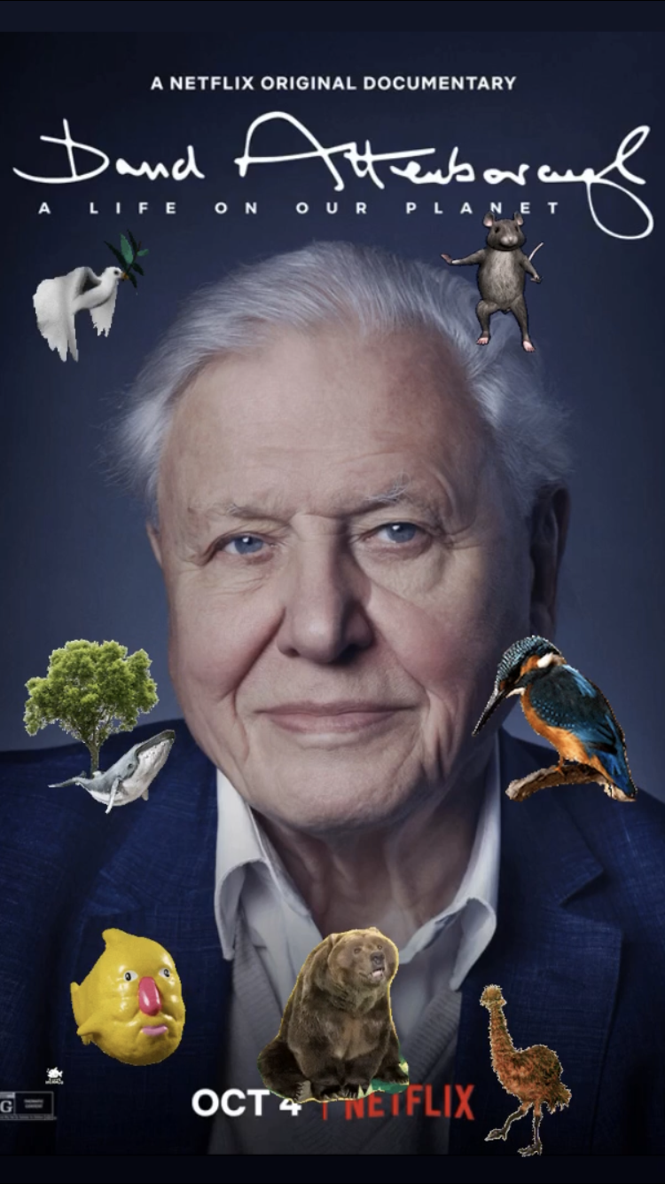 David Attenborough: A Life on Our Planet || Ray Taylor Show