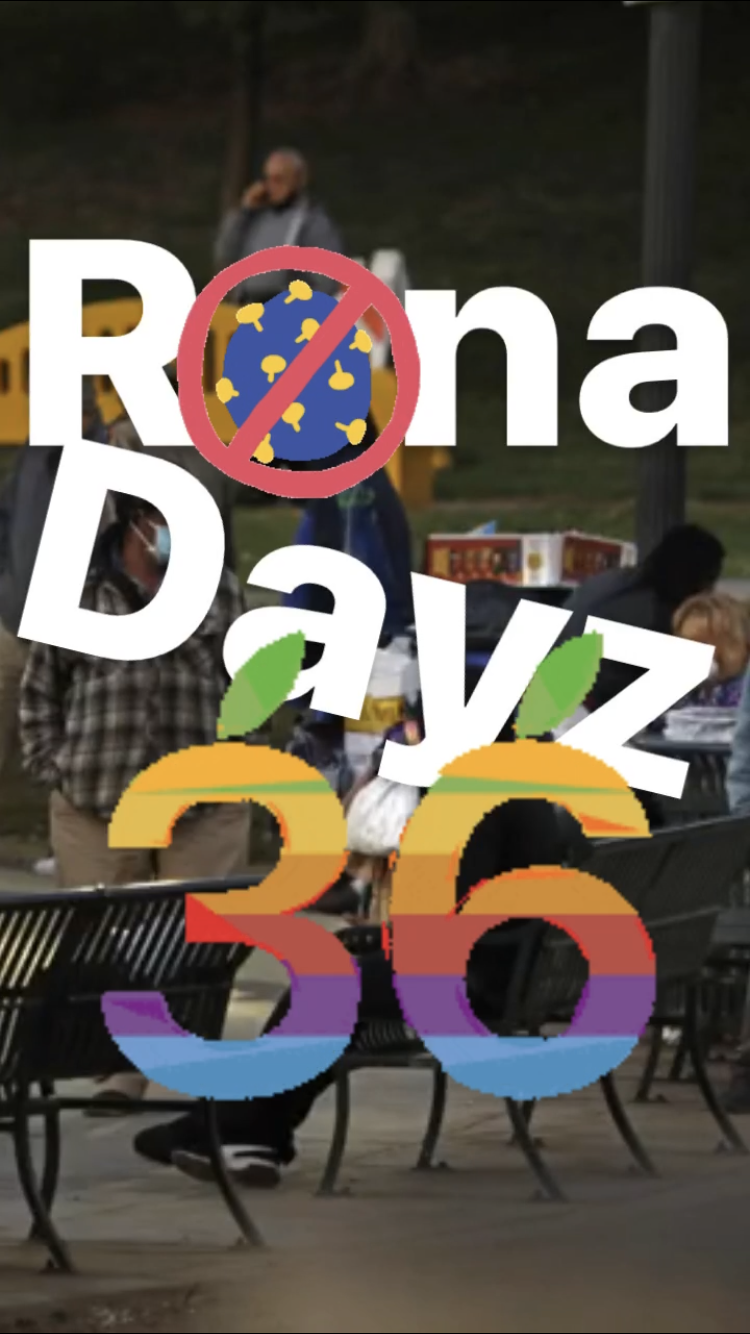Rona Dayz 36 || Ray Taylor Show