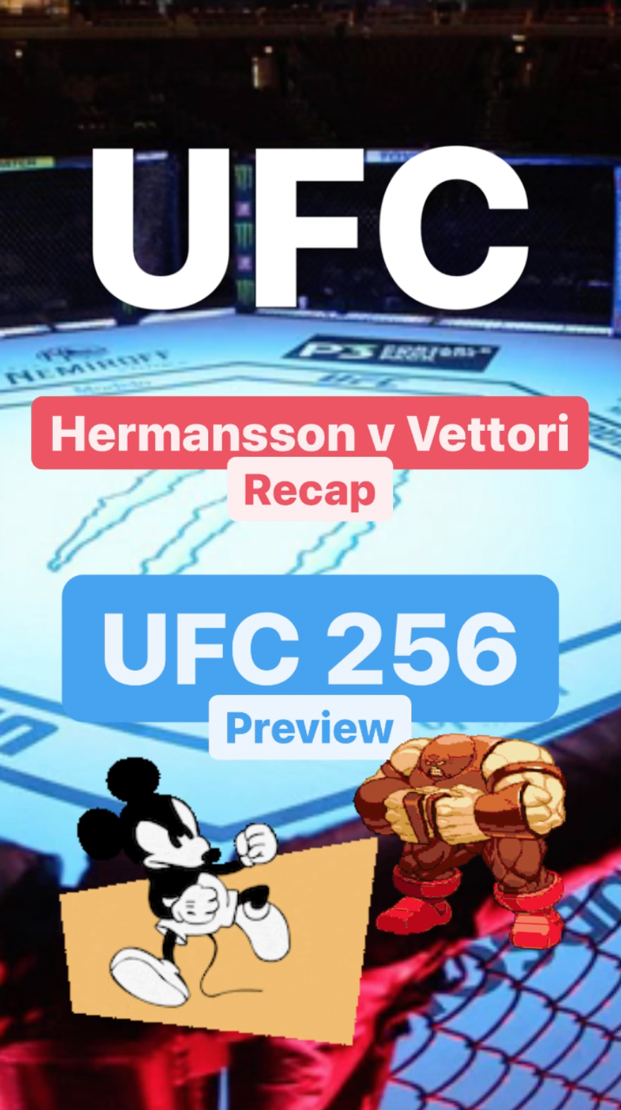 UFC Hermansson v Vettori Recap - 256 Preview || Ray Taylor Show