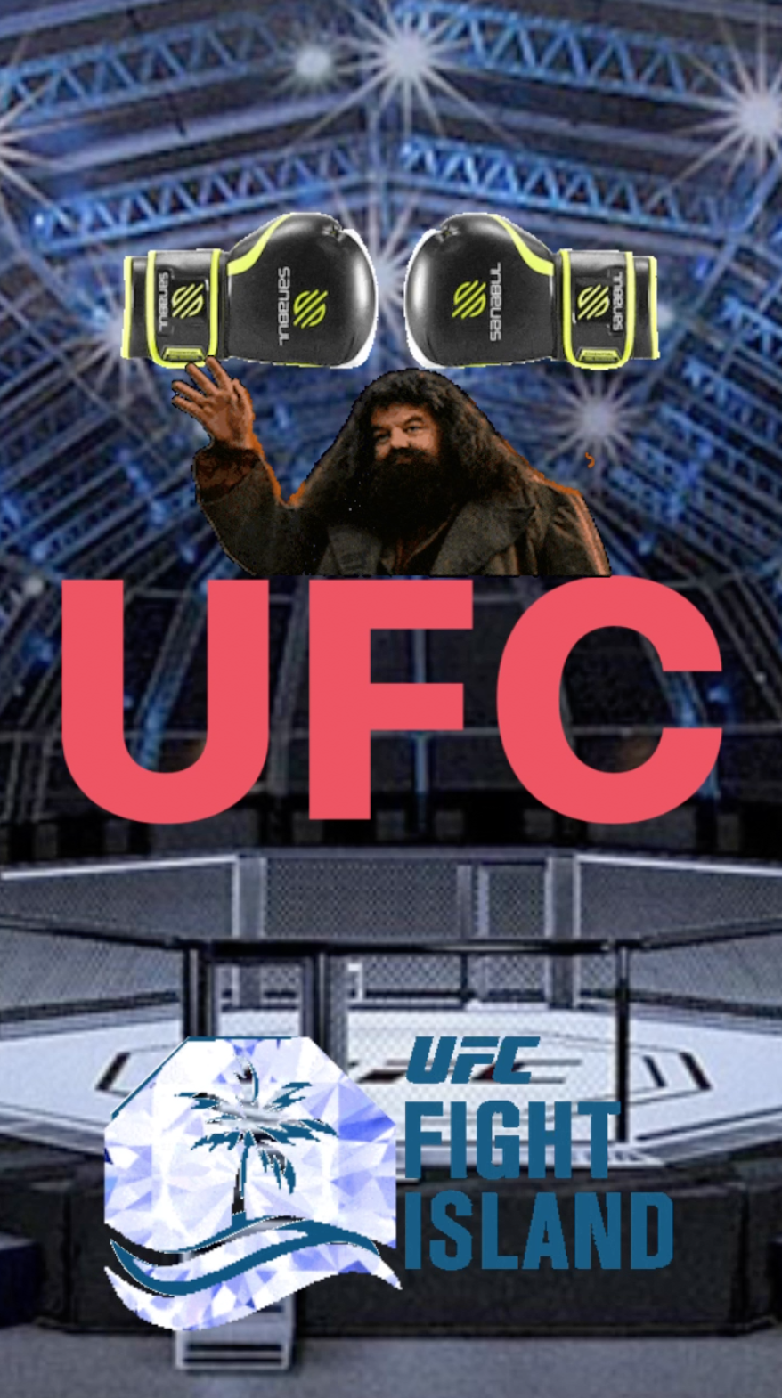 UFC - Ray Taylor Show
