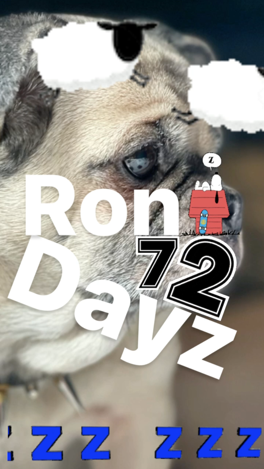 Rona Dayz 72 - Ray Taylor Show 