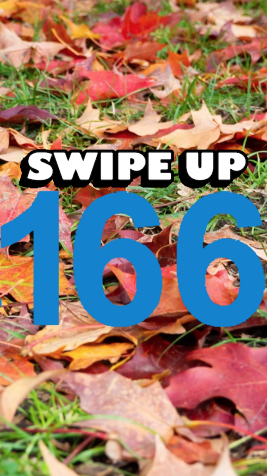 Swipe Up 166 - Opinion - Ray Taylor Show 