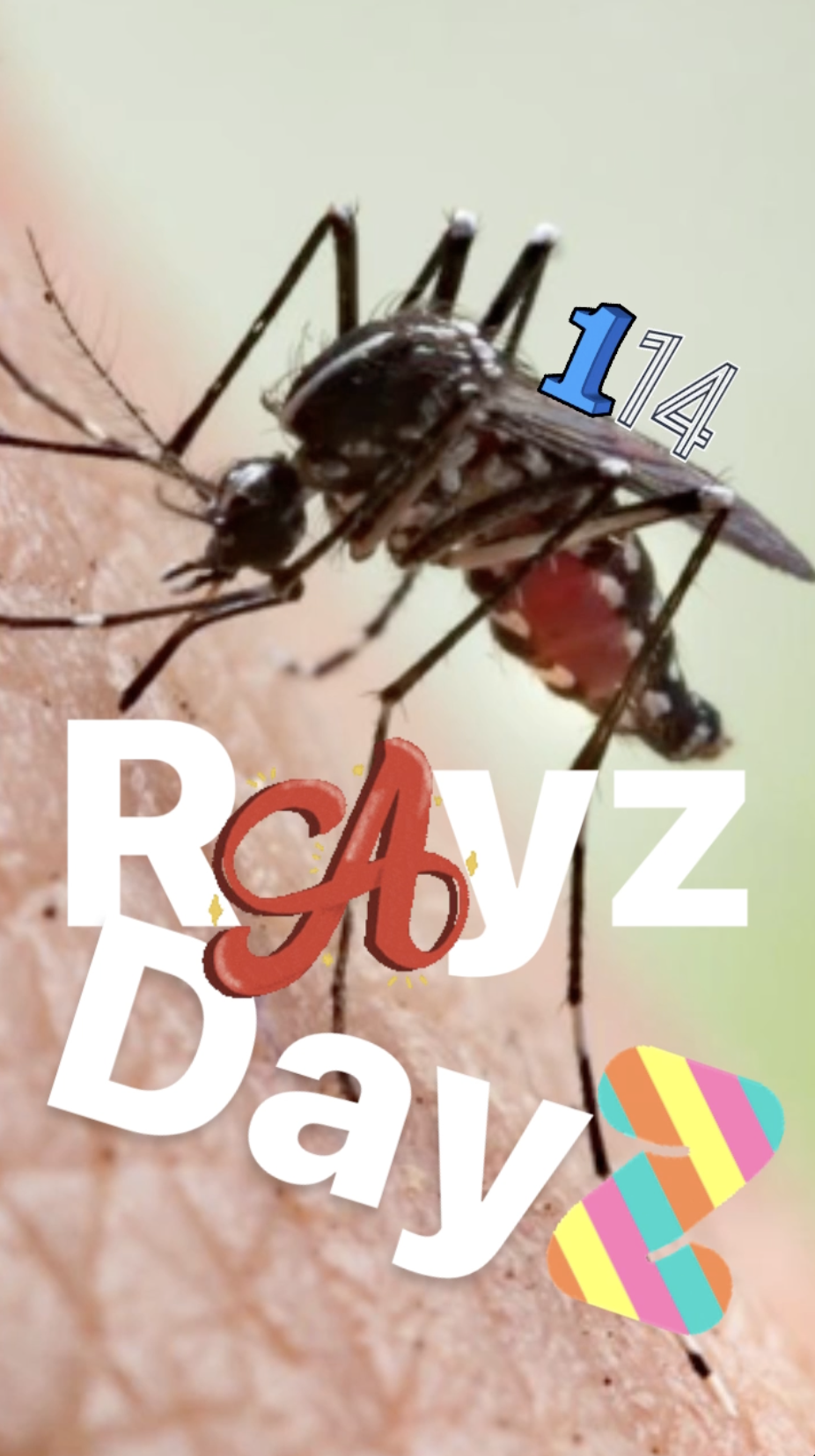 Rayz Dayz 114 - Diary - Ray Taylor Show 