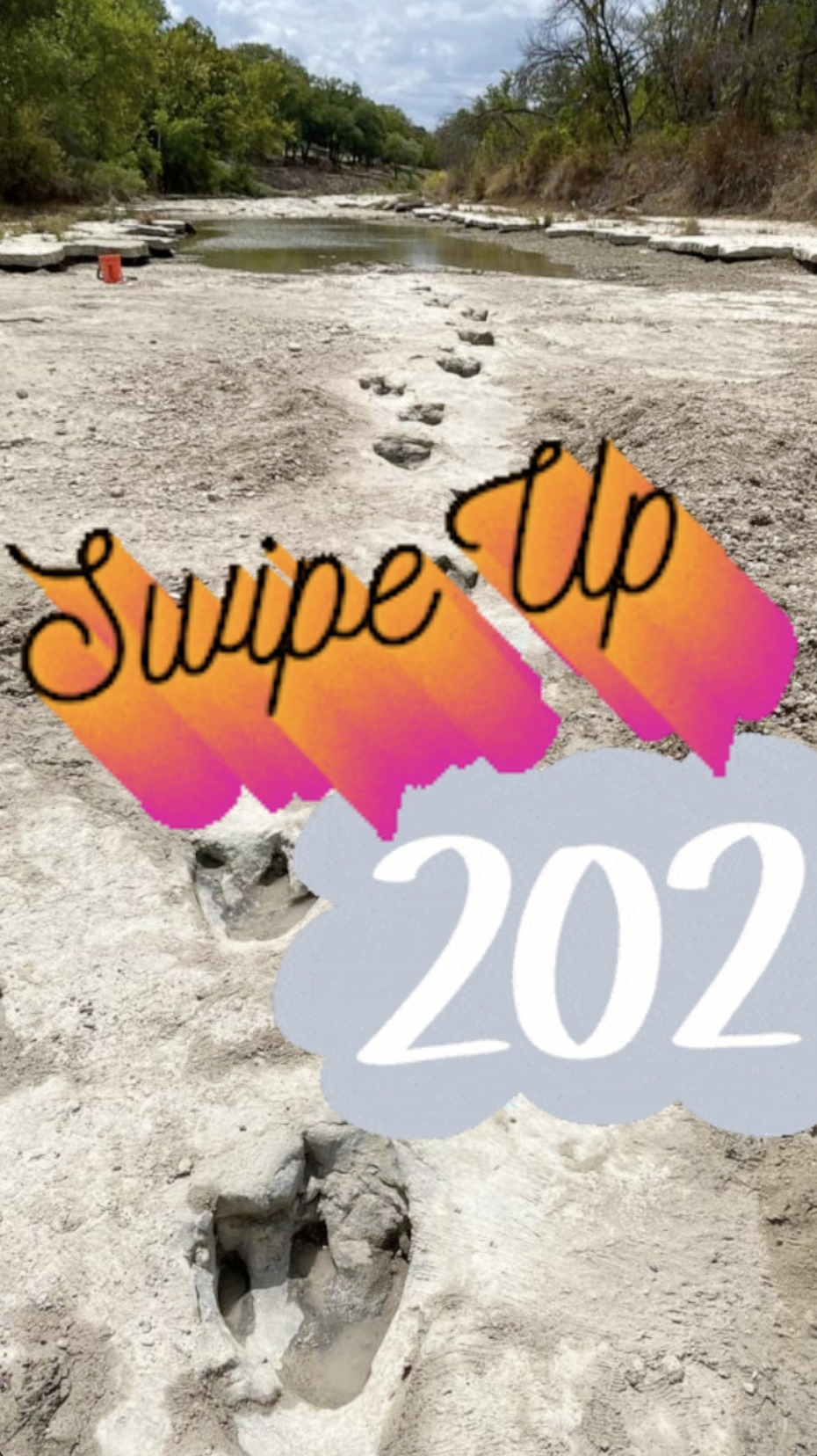 Swipe Up 202 - Opinion - Ray Taylor Show