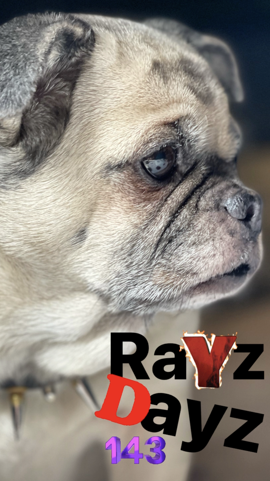 Rayz Dayz 143: Weekly Diary Podcast with Ray Taylor - Artist, Podcaster, Business Owner