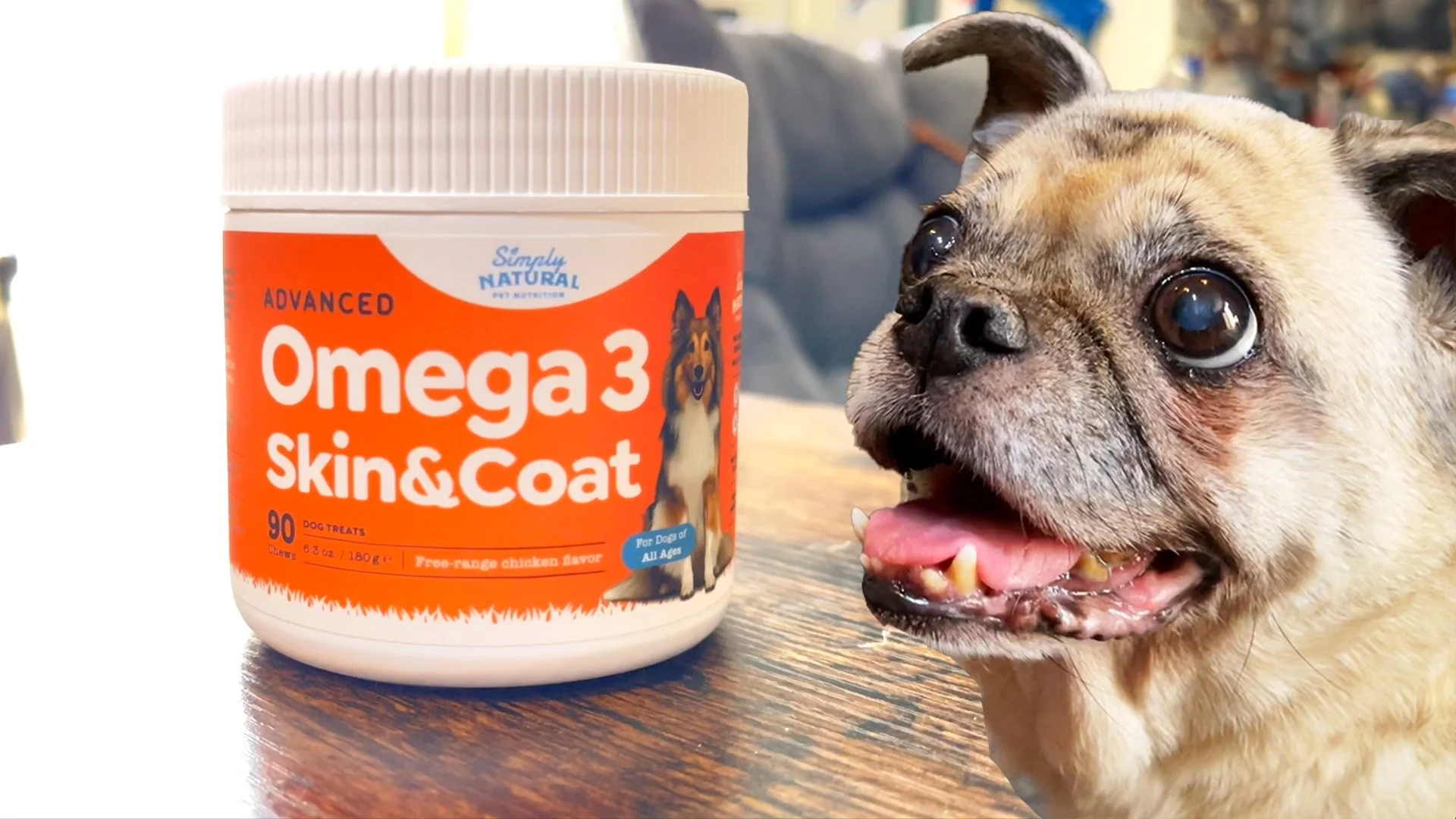 Simply Natural's Omega 3 Skin &amp; Coat Dog Chews | Product Review