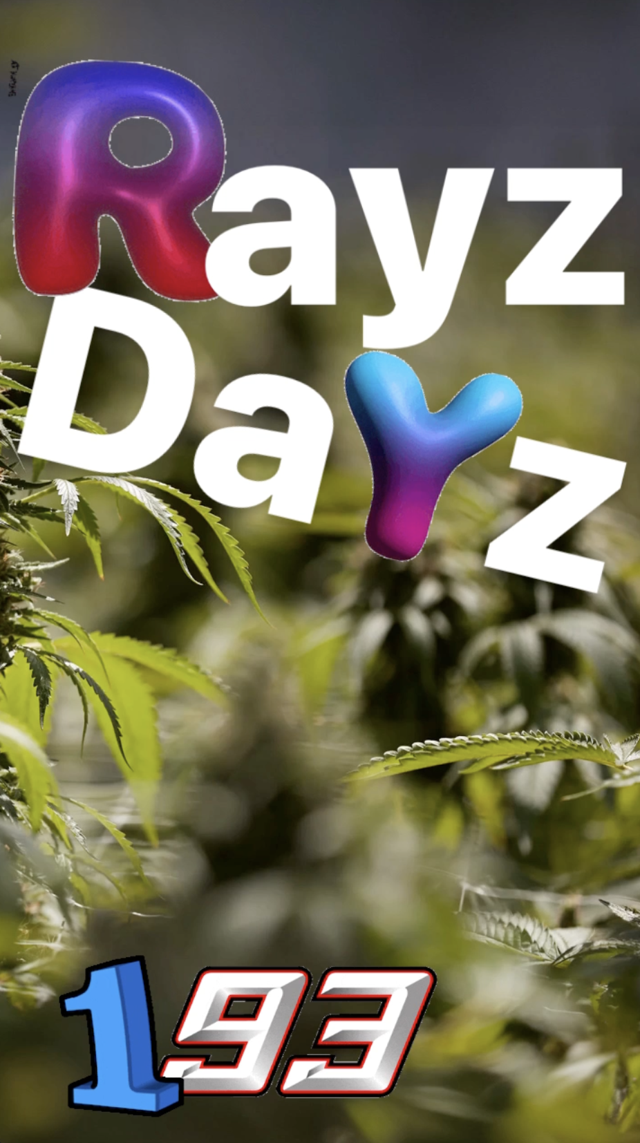 Rayz Dayz 193: Weekly Diary Podcast with Ray Taylor - Artist, Podcaster, Business Owner