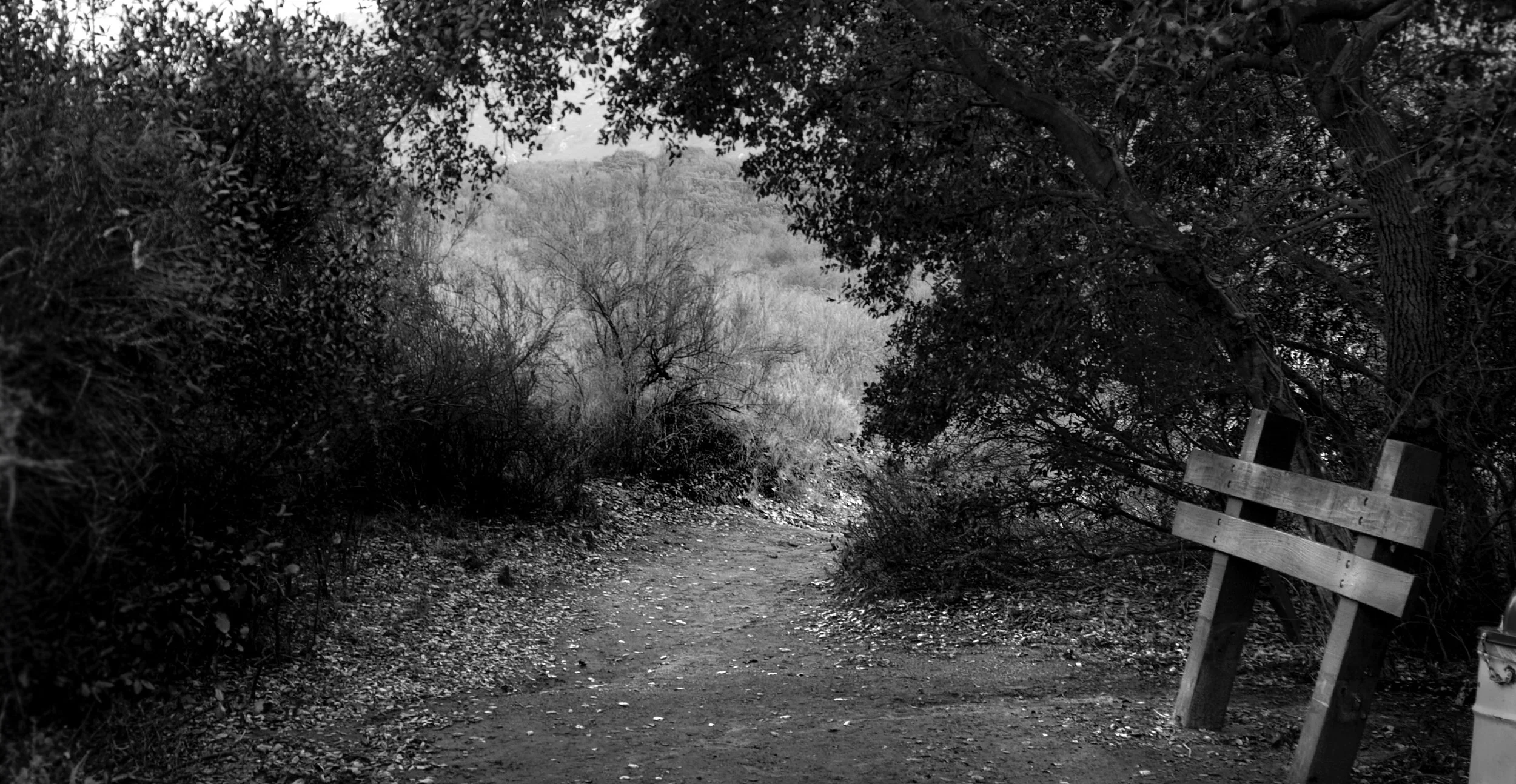 Early Work - 200 of 272.jpeg