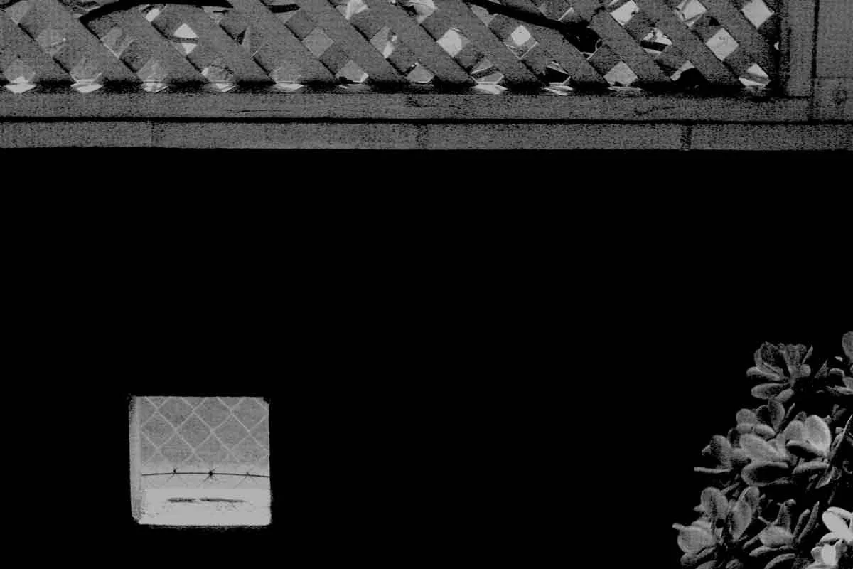 Early Work - 247 of 272.jpeg