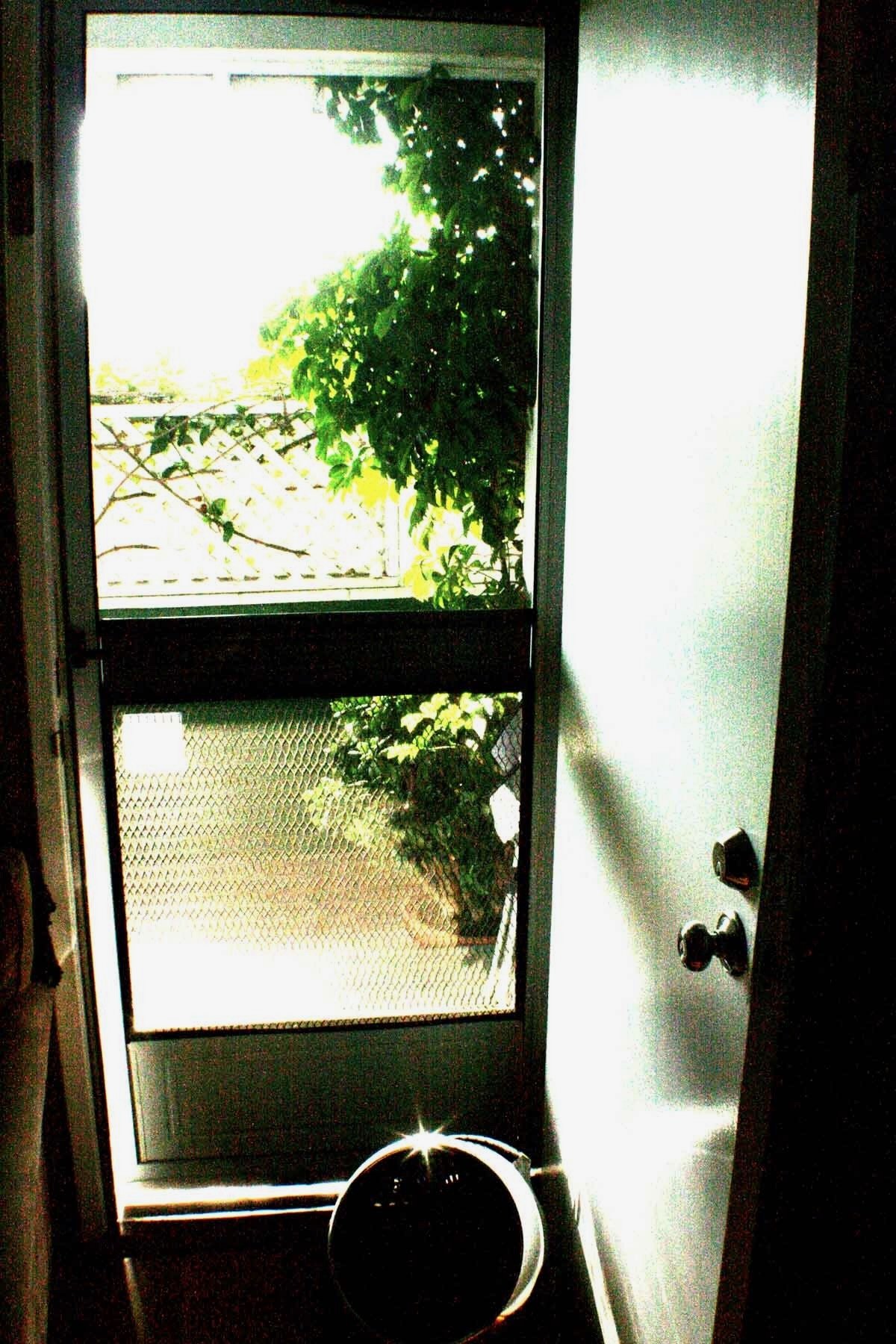 Early Work - 248 of 272.jpeg