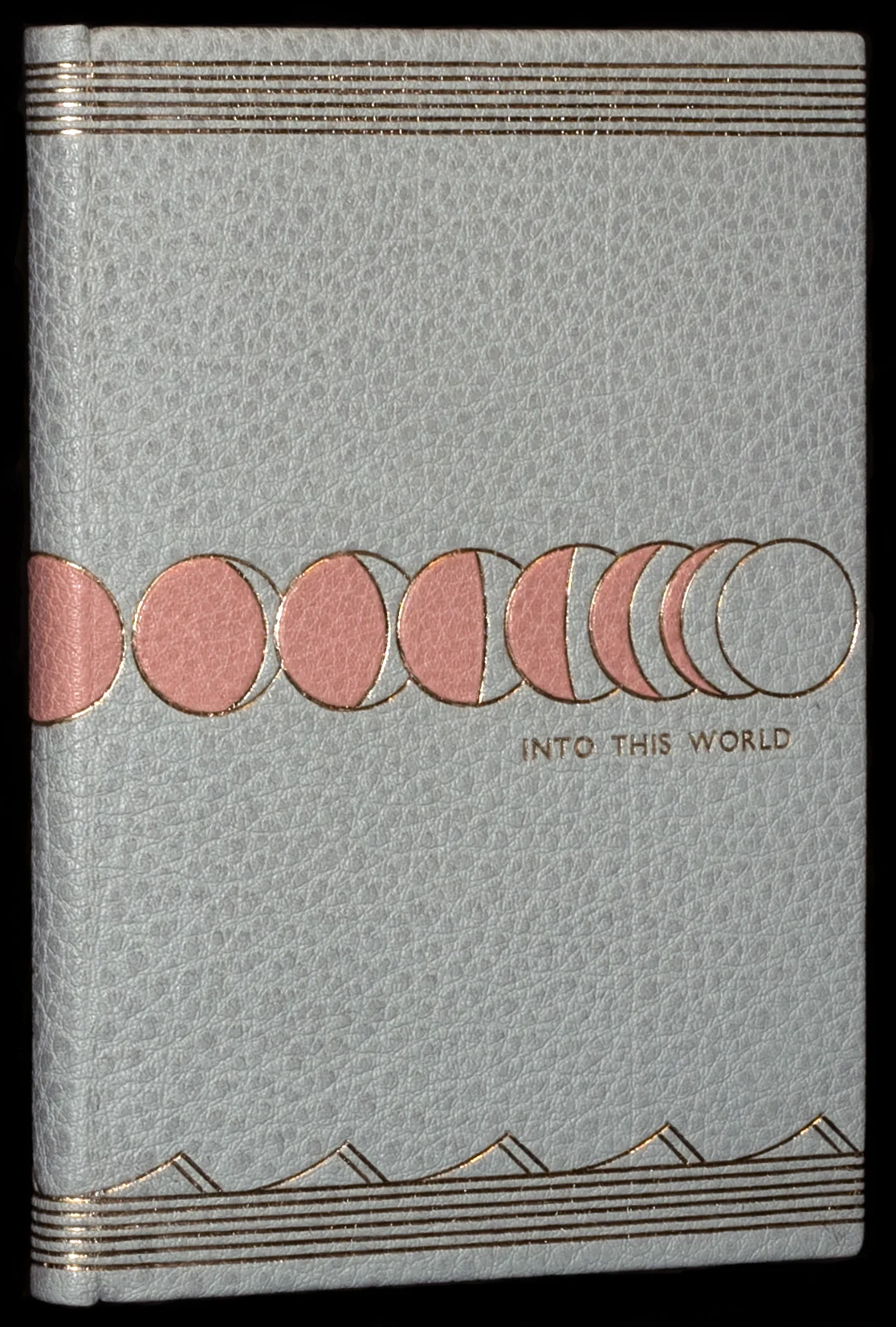 Into This World by Natalie Goldberg