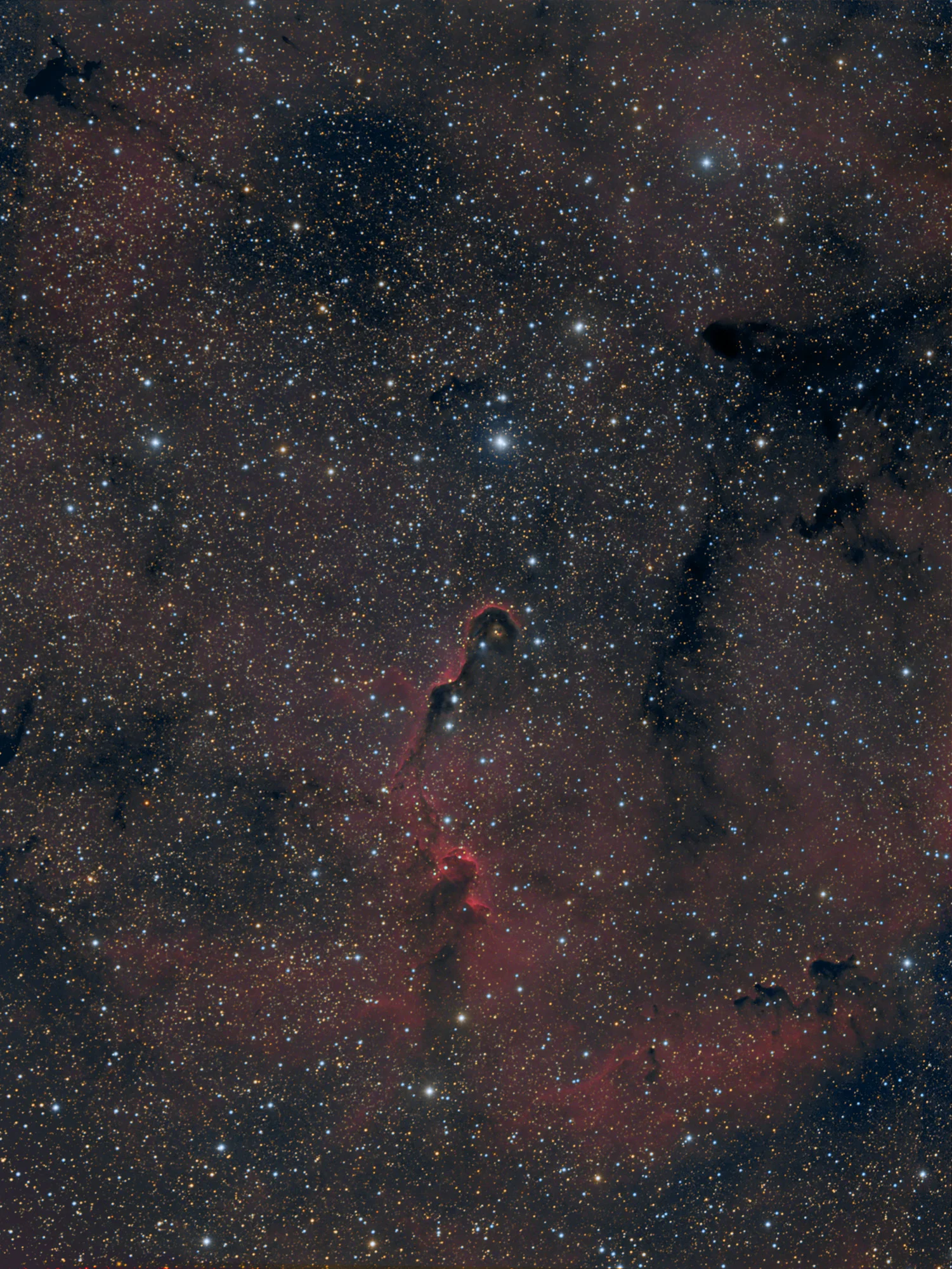 The Elephant's Trunk Nebula in HA,RGB, click here for higher rez