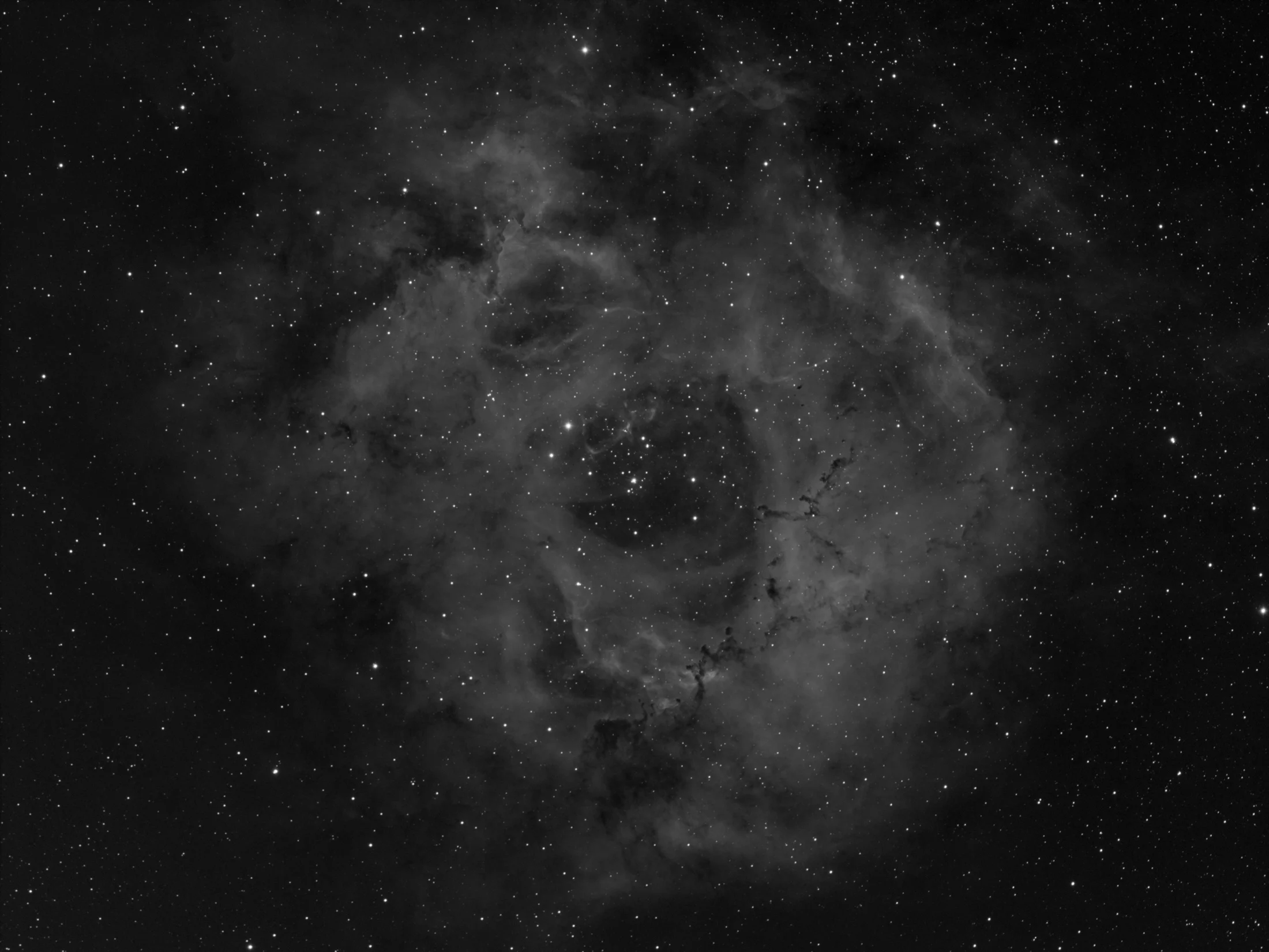 rosette2hrweb.jpg