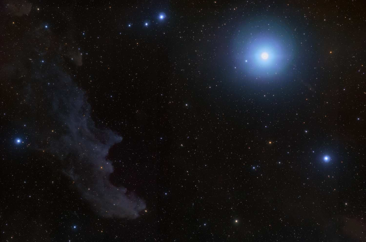 Data Collected by: Jose Bellas, Processing by :Albert Barr