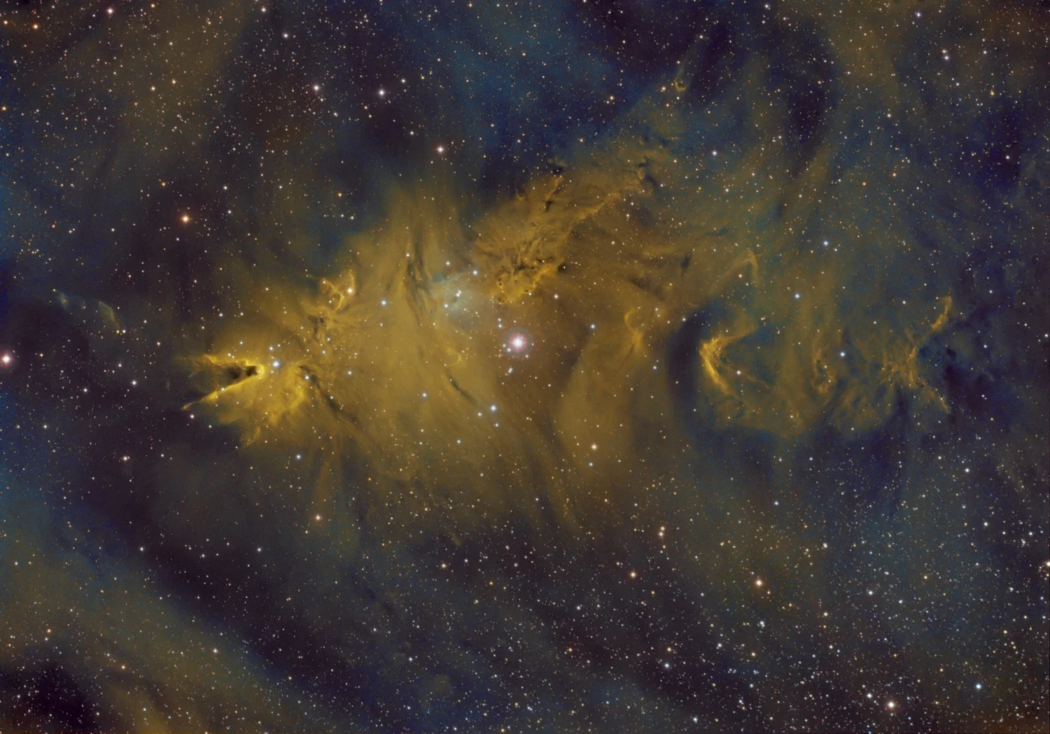 ngc2264hubble.jpg