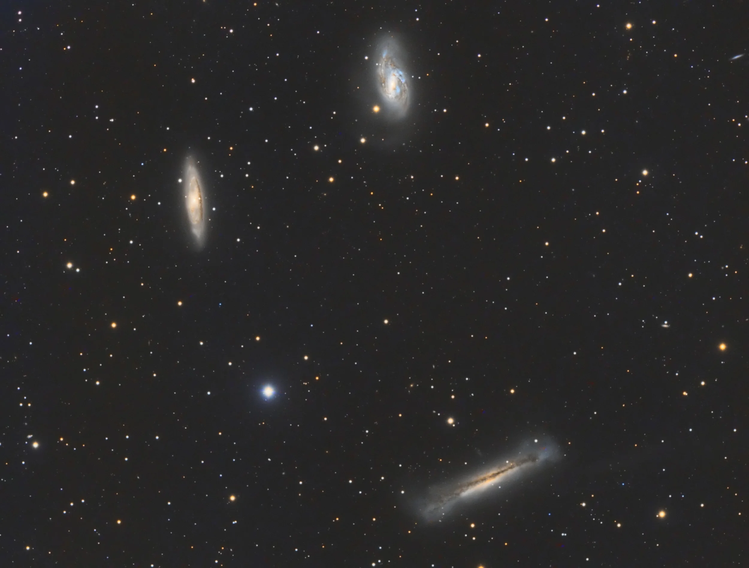 leotriplet.jpg