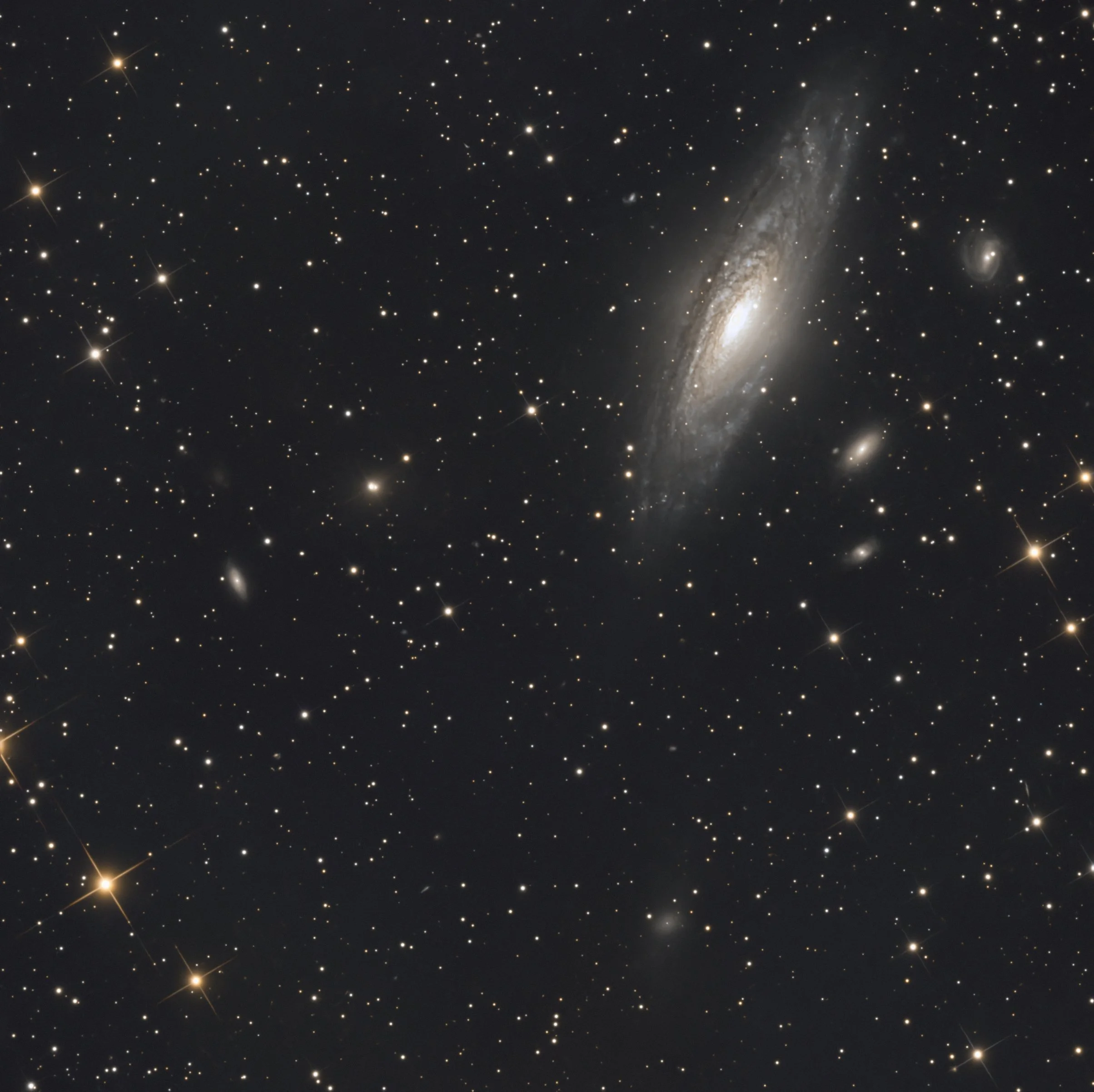Super Nova in NGC 7331 The Deer Lick Group