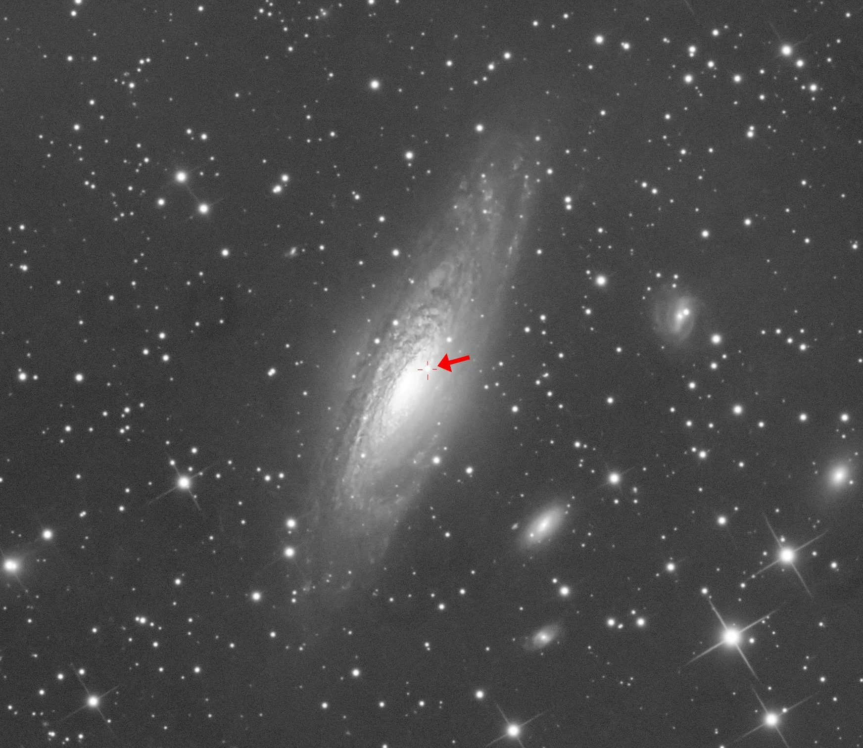 Super Nova in NGC 7331 The Deer Lick Group