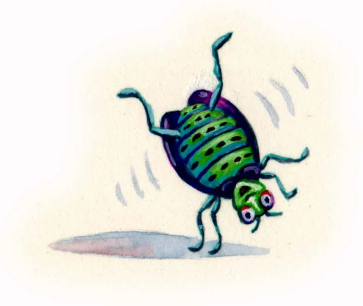 Busy Bugs-beetle.jpg