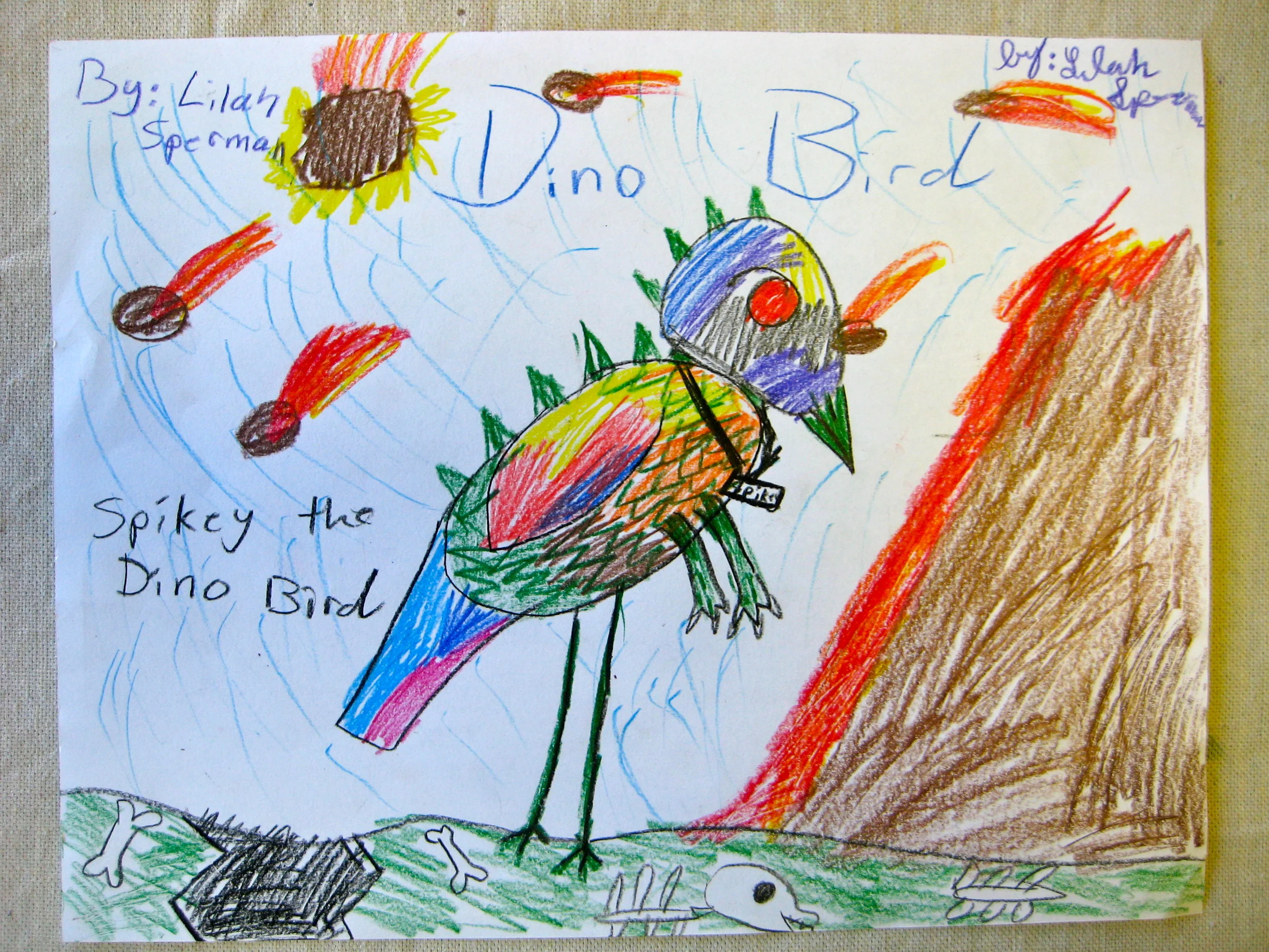Third Grade Bird Drawing